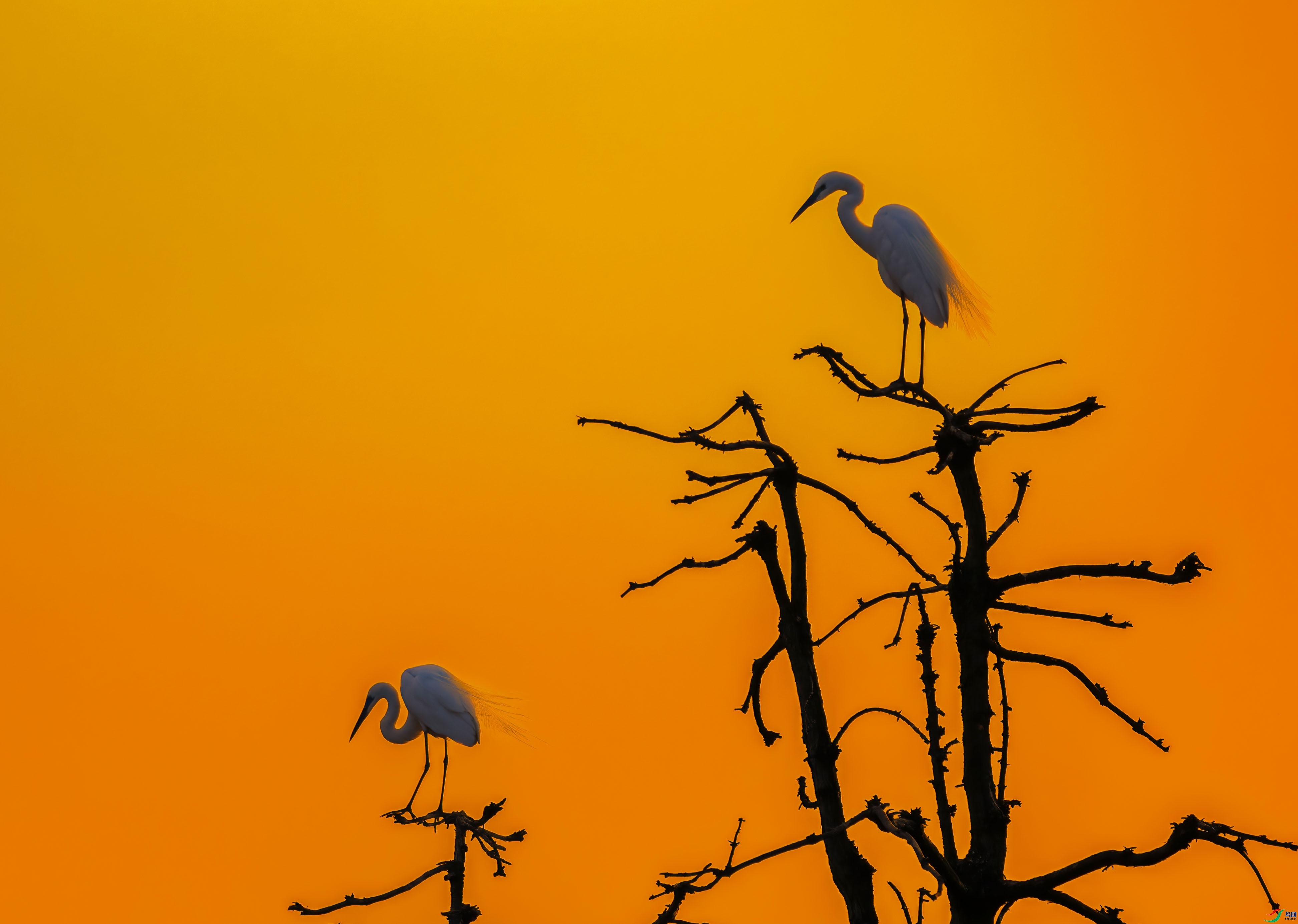 10.13��֦ͷ��ʦ��Ʒ   ����ʱ�֣�ף���ٻ��Ա������.jpg