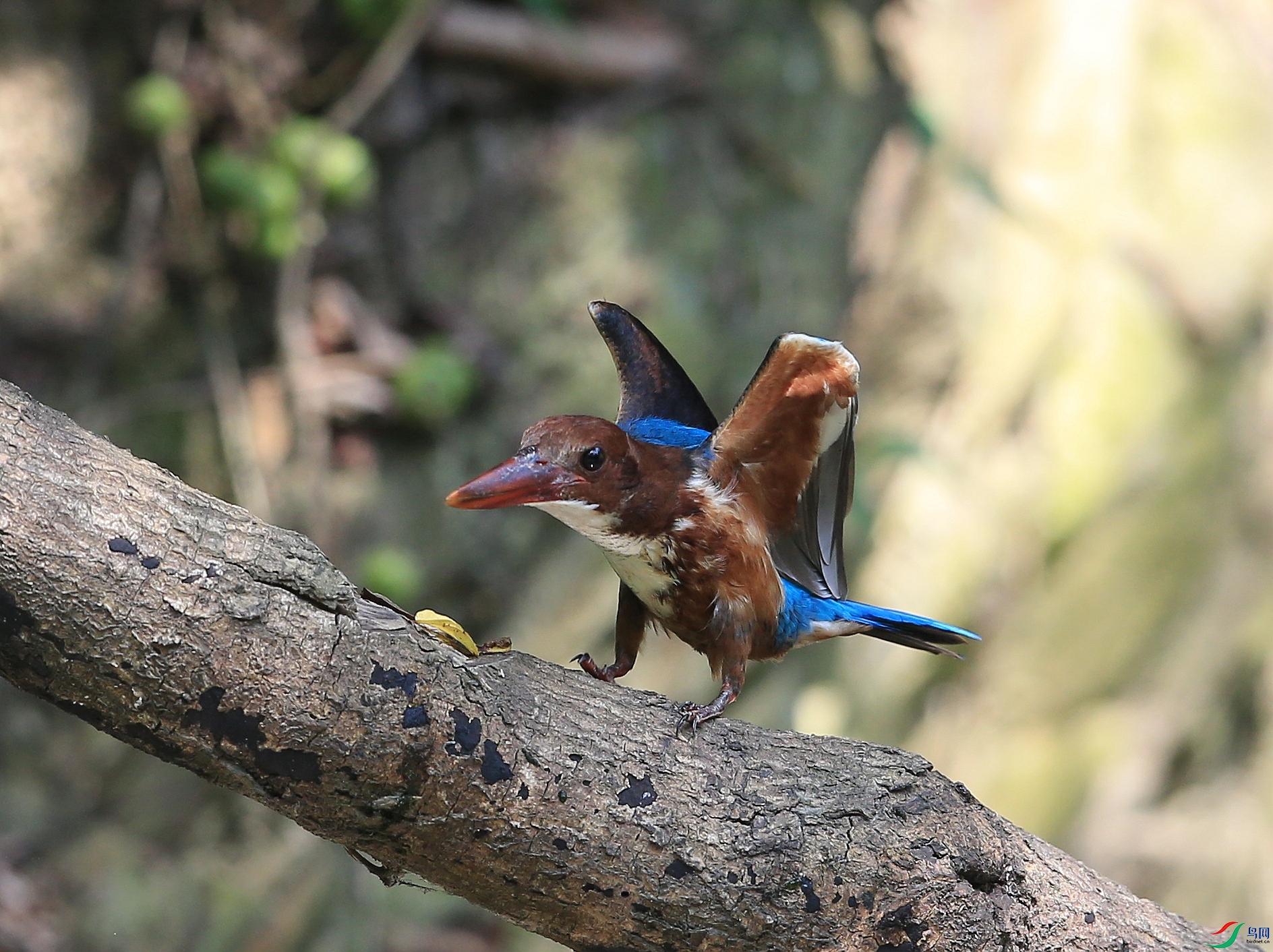 IMGL0349�� ��.JPG