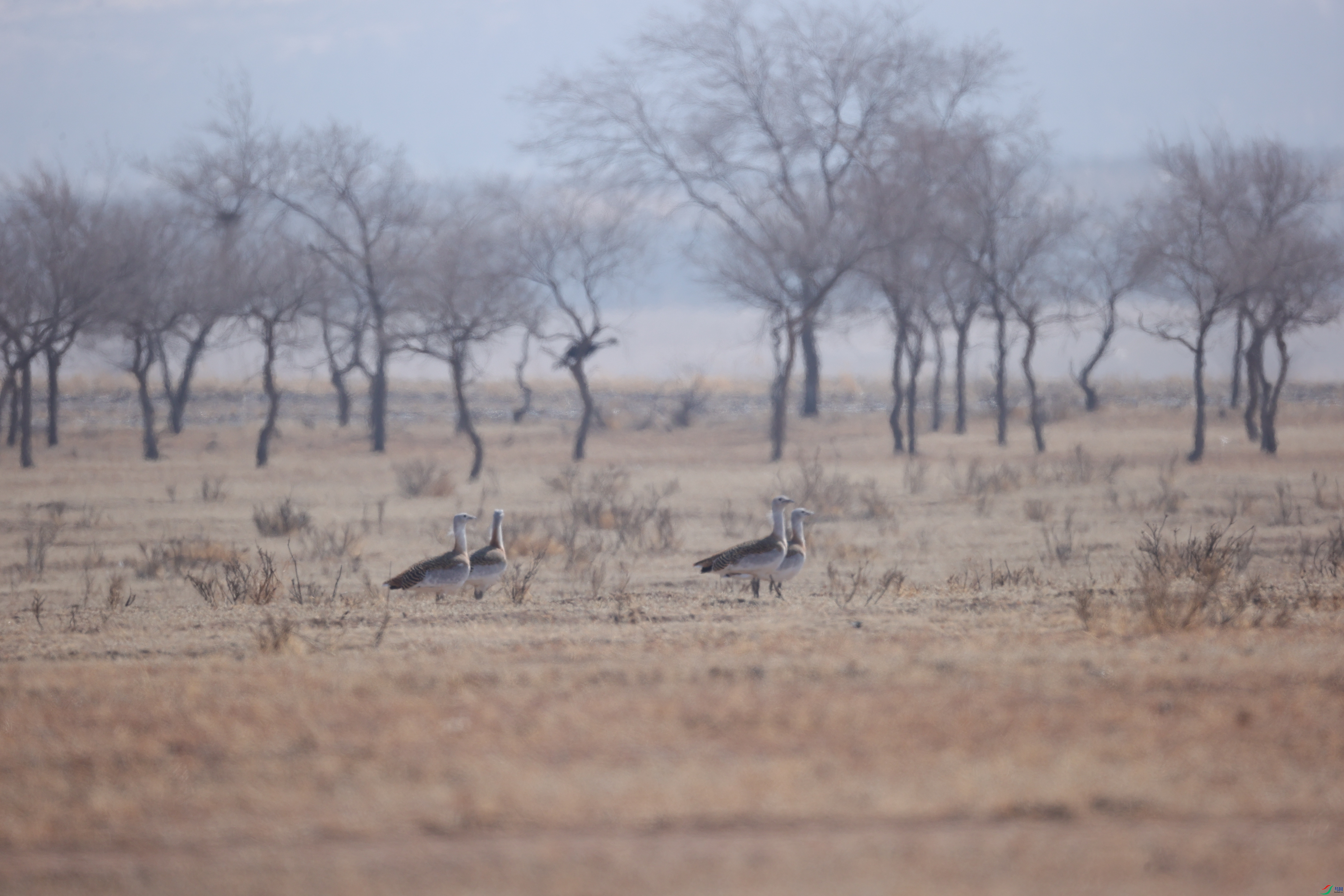0625Ұ��