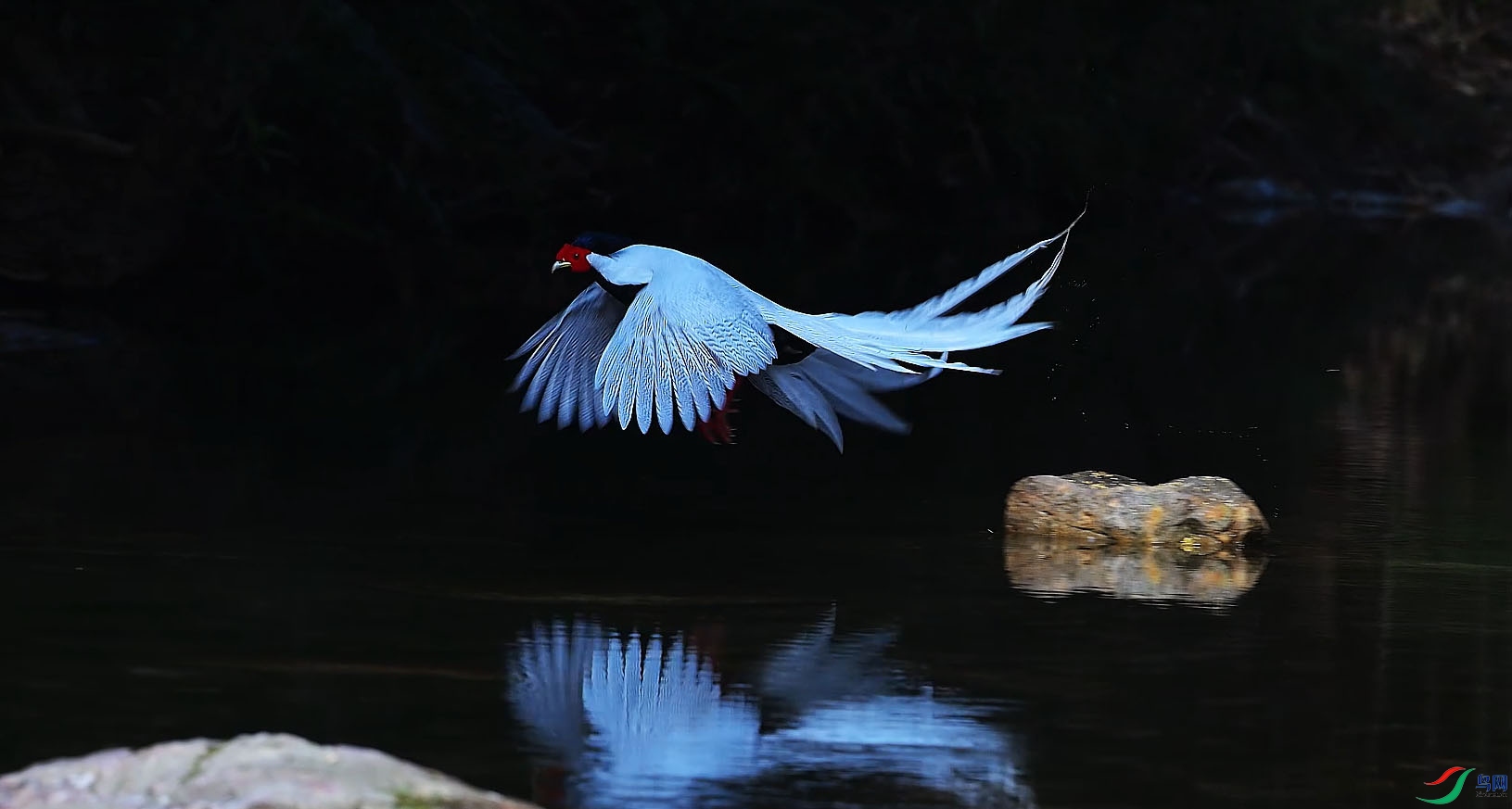 {D4056F22-541A-46A3-8881-D06A3270B0D7} ����.jpg