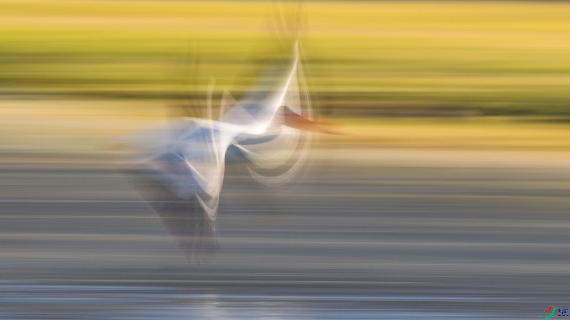 498A6916_1.jpg