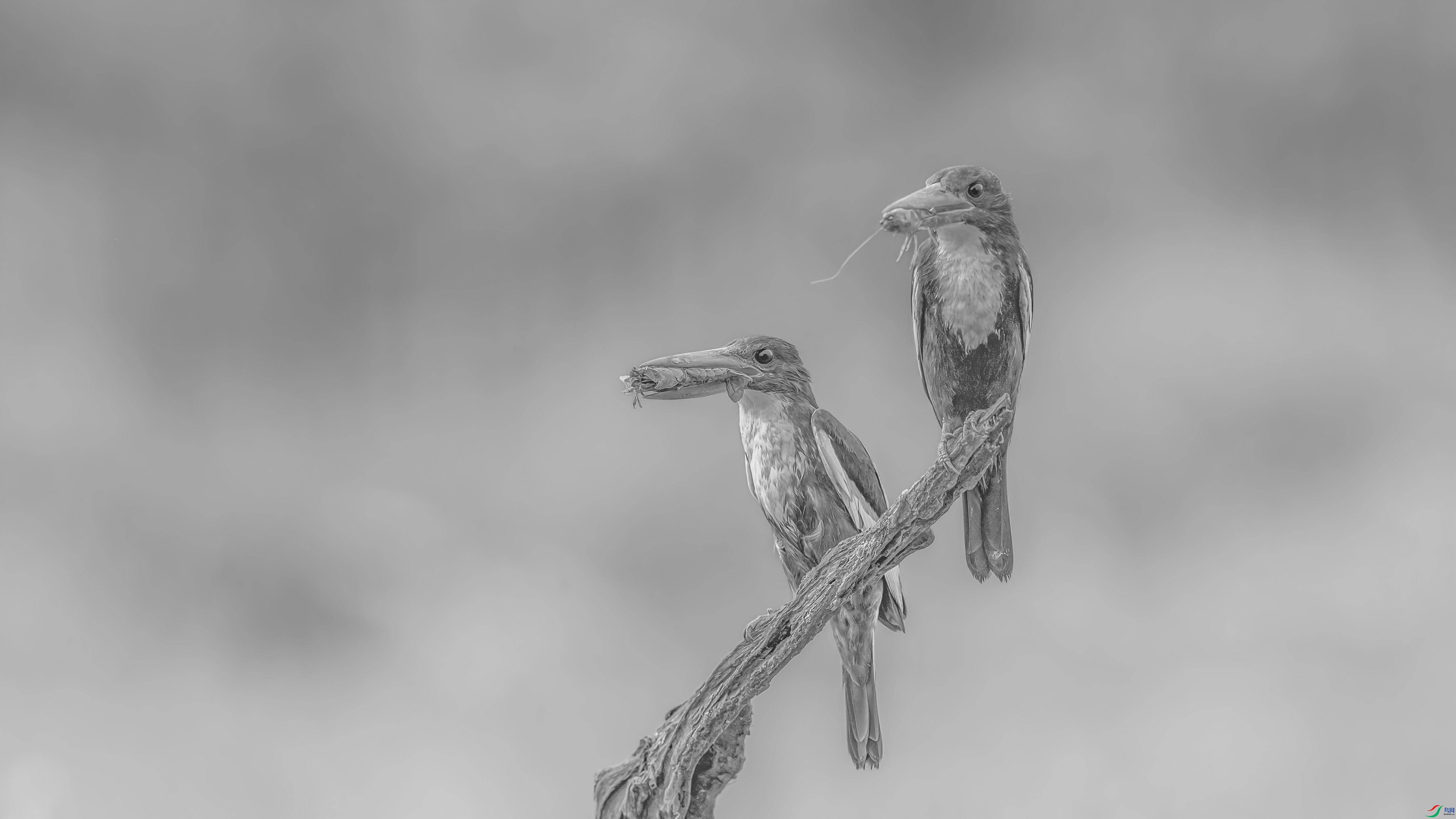 _09R4457 ����1.jpg