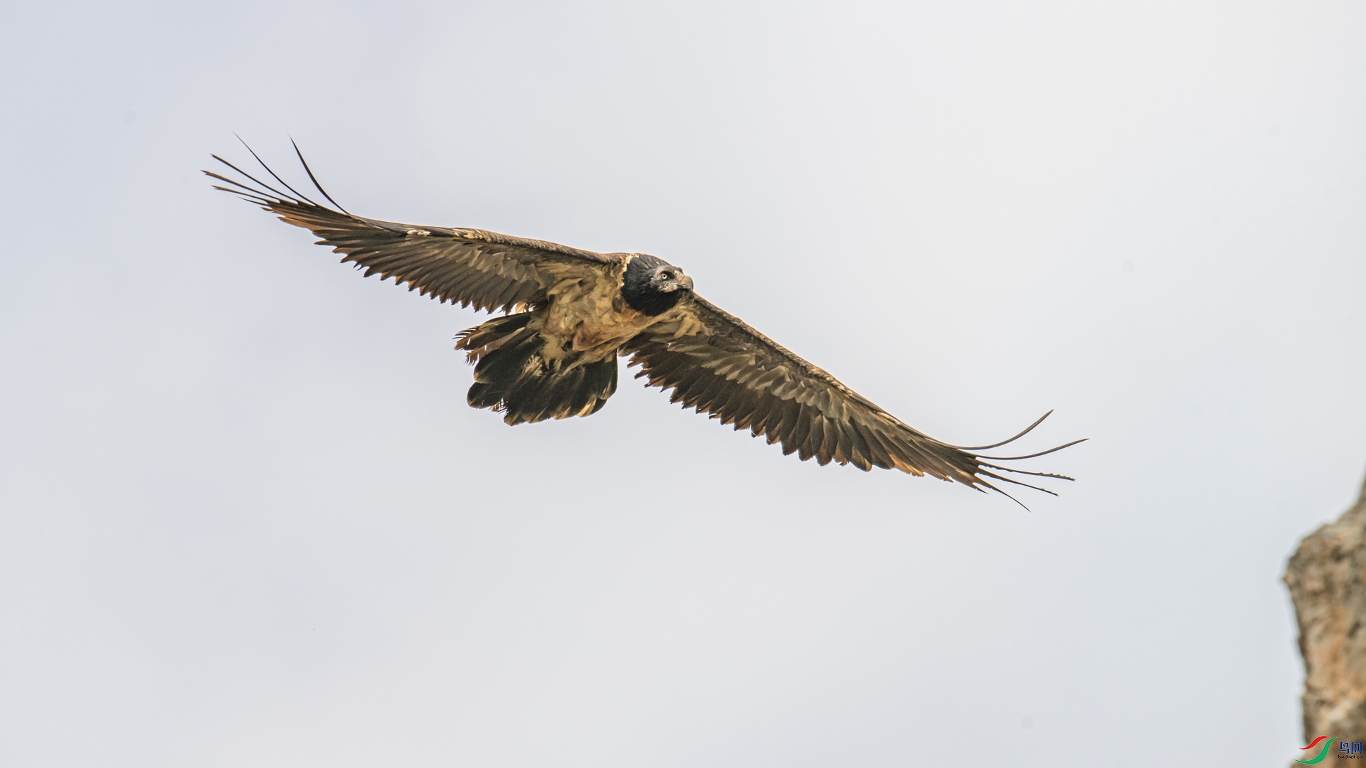 _DSC2183 ����_����.jpg