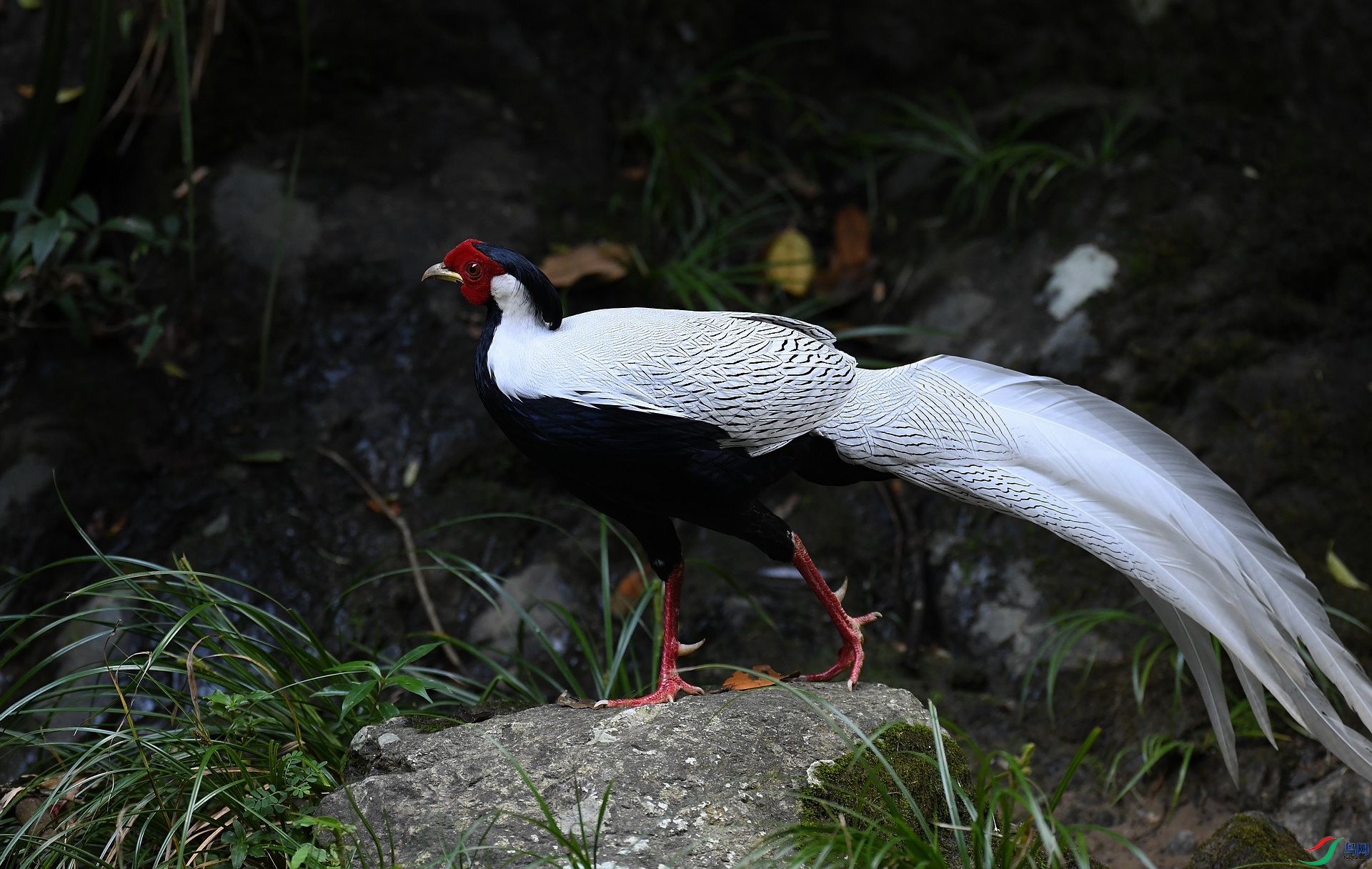 DSC_6580.jpg