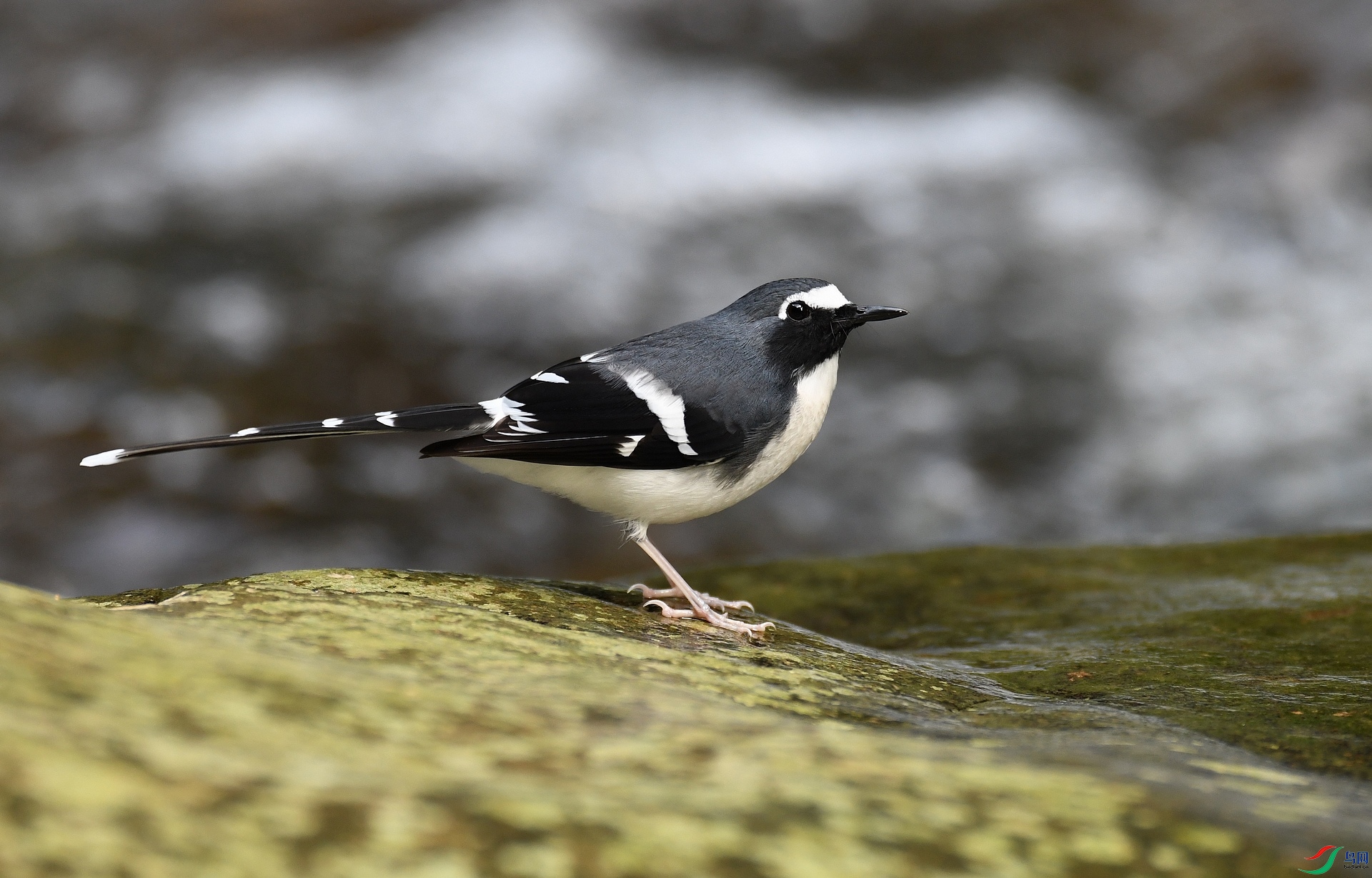 DSC_7153.jpg