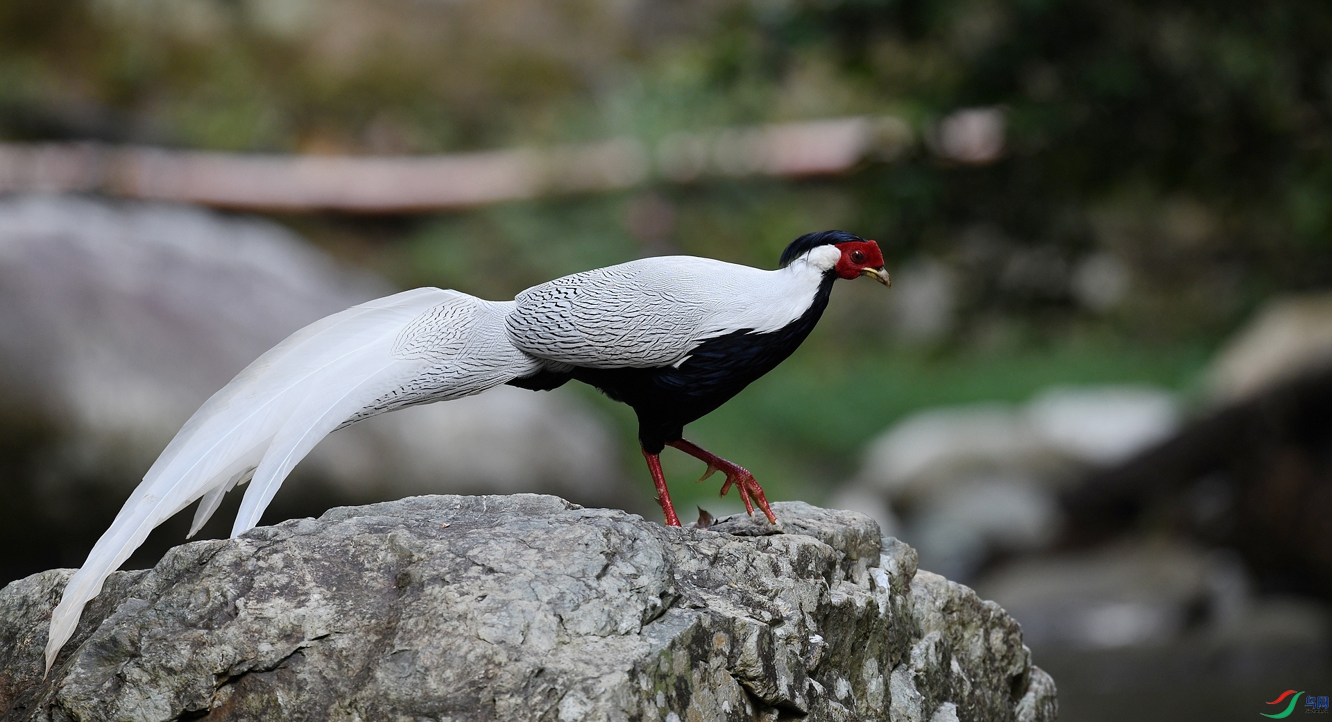 DSC_7136.jpg