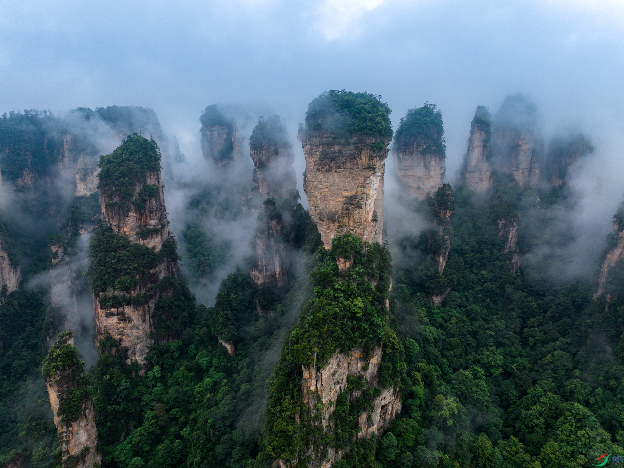 DJI_20250623083057_0097_D-1 ����111.jpg