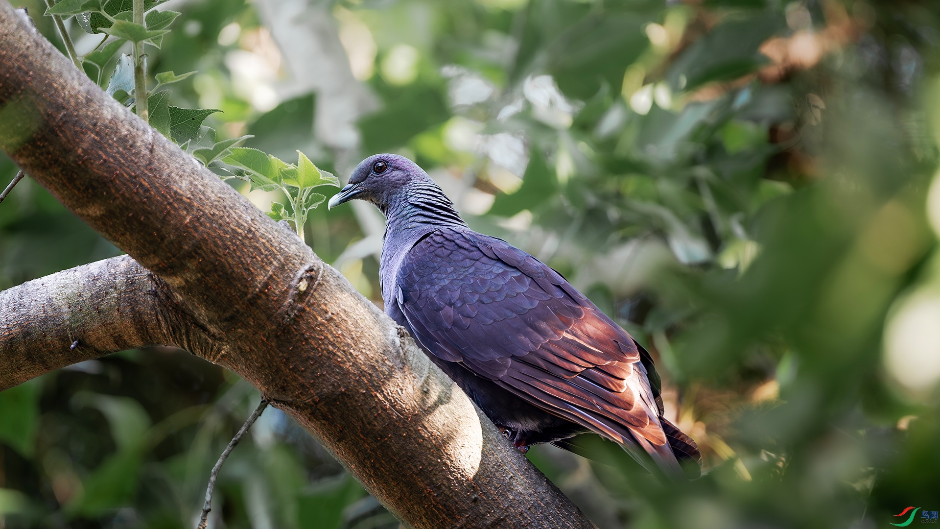 DSC_3897.jpg