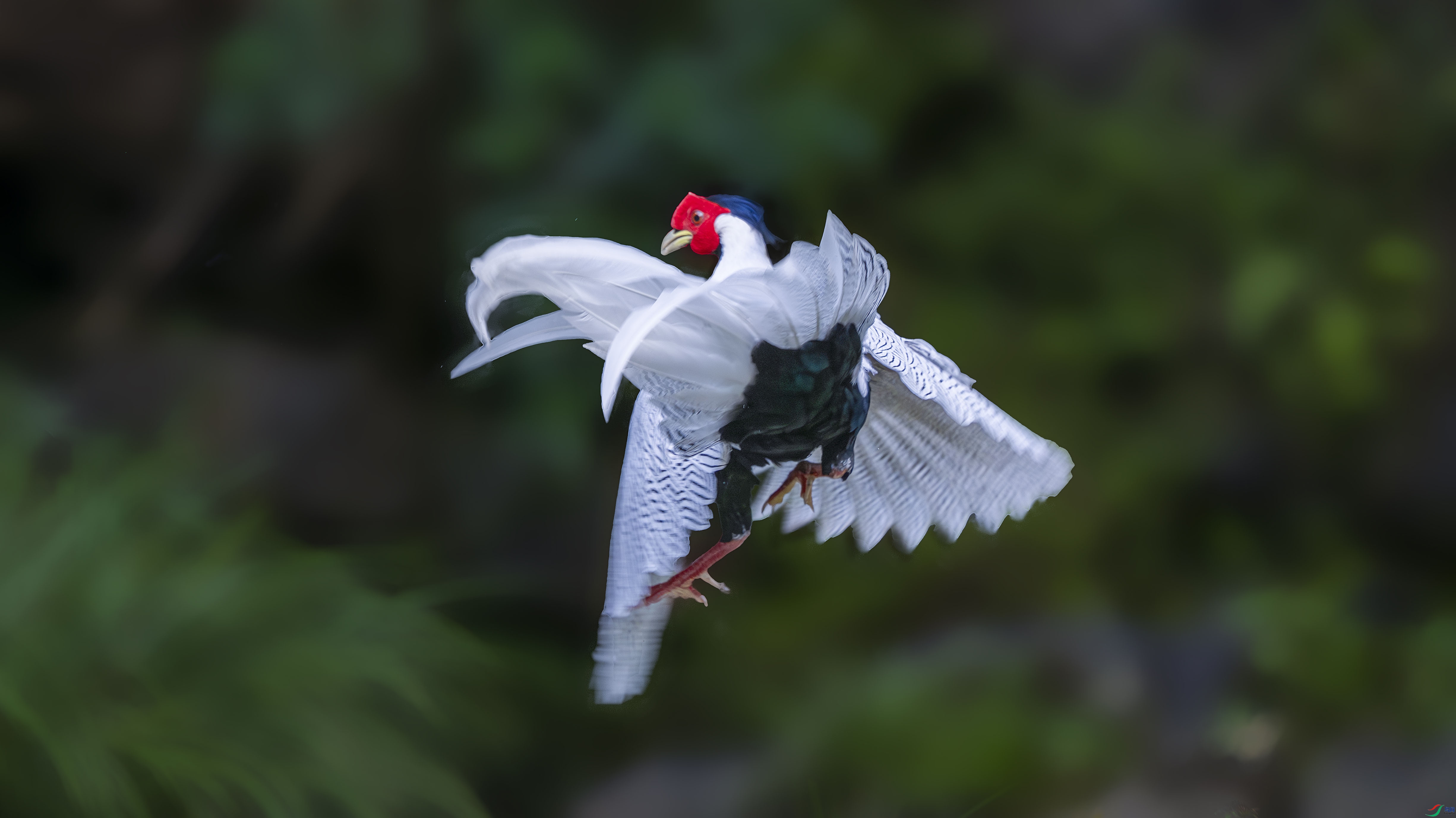 _DSC1154 ���� 2.jpg