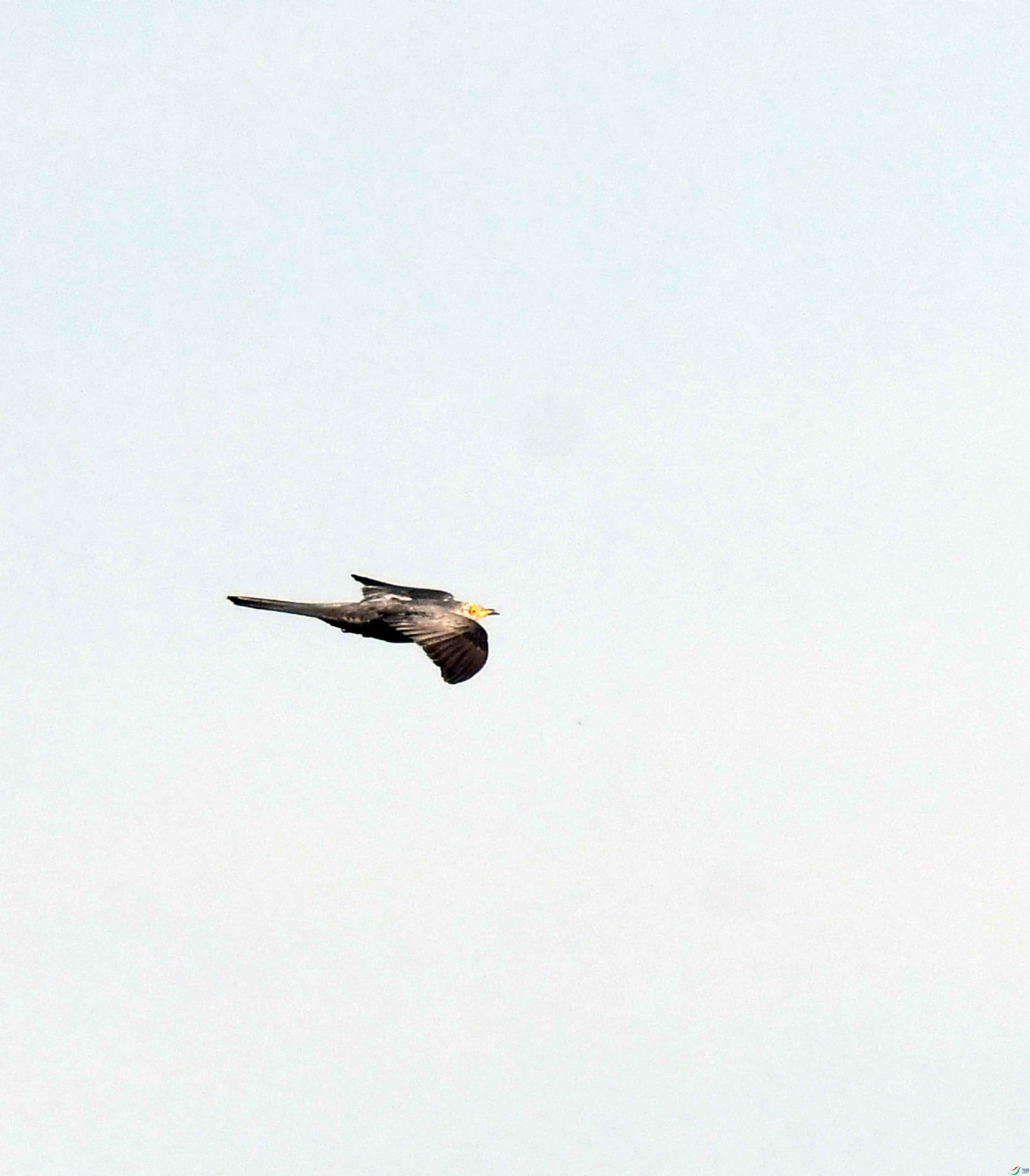 DSC_6324.JPG