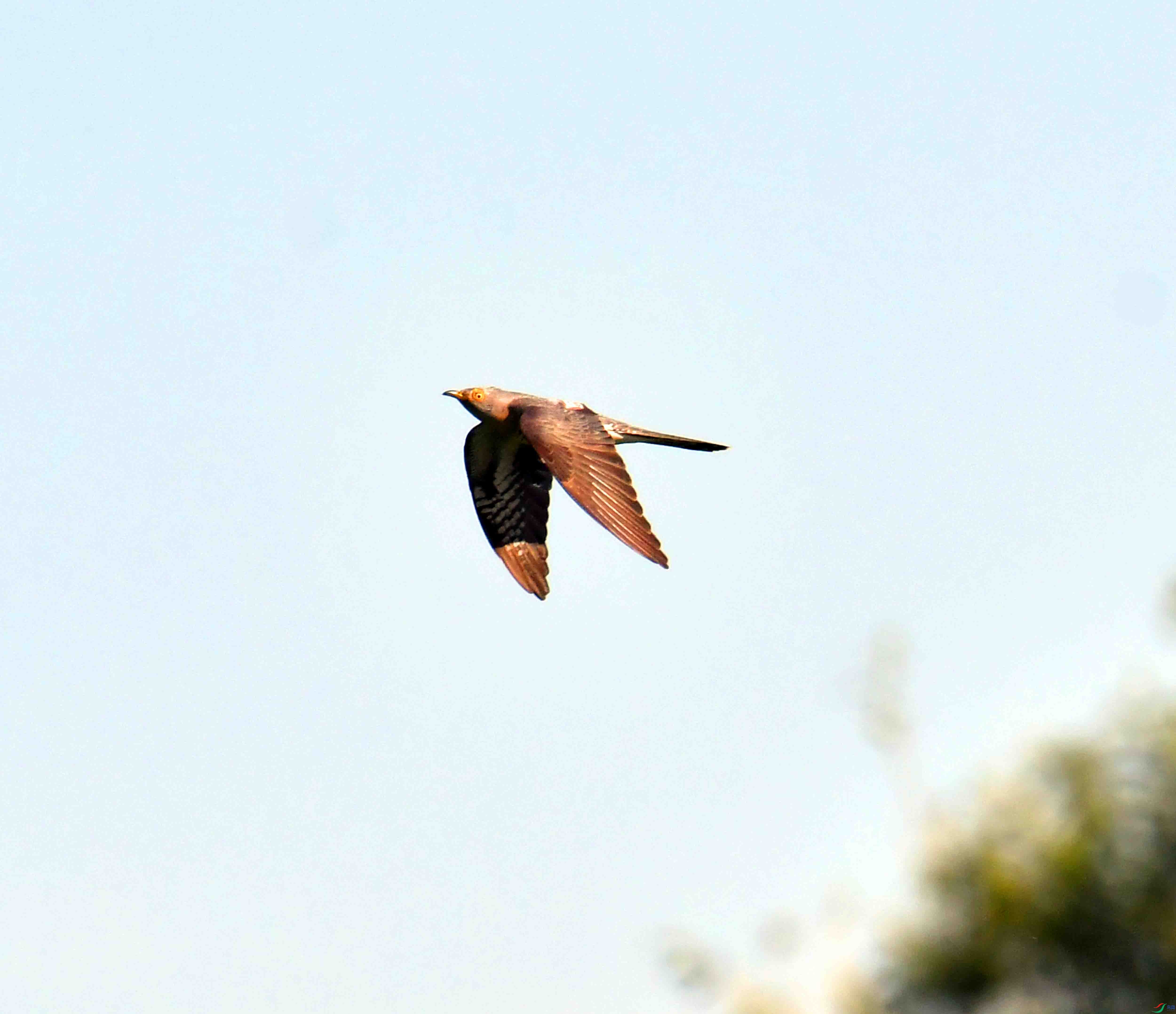 DSC_6363.JPG