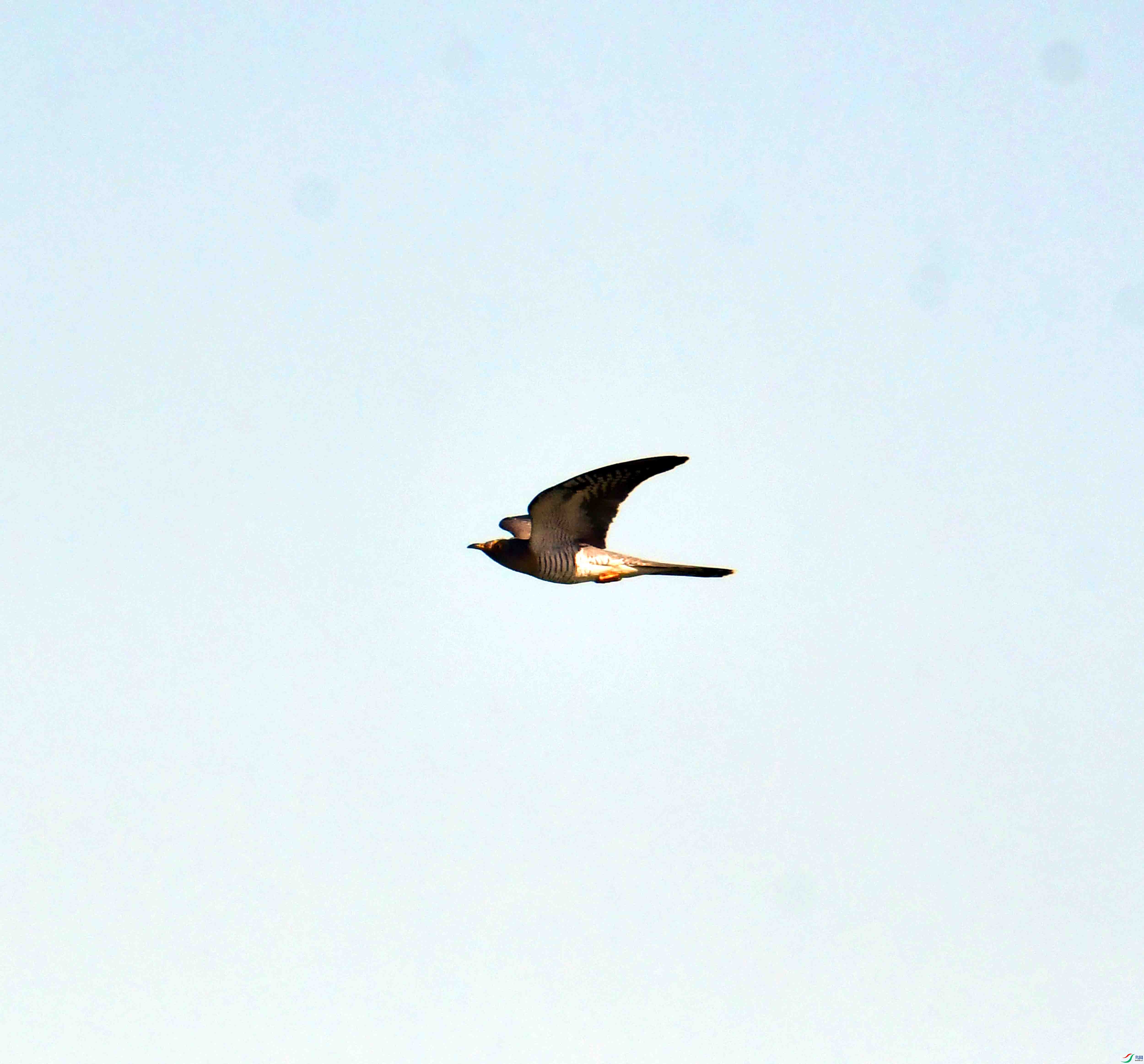 DSC_6368.JPG
