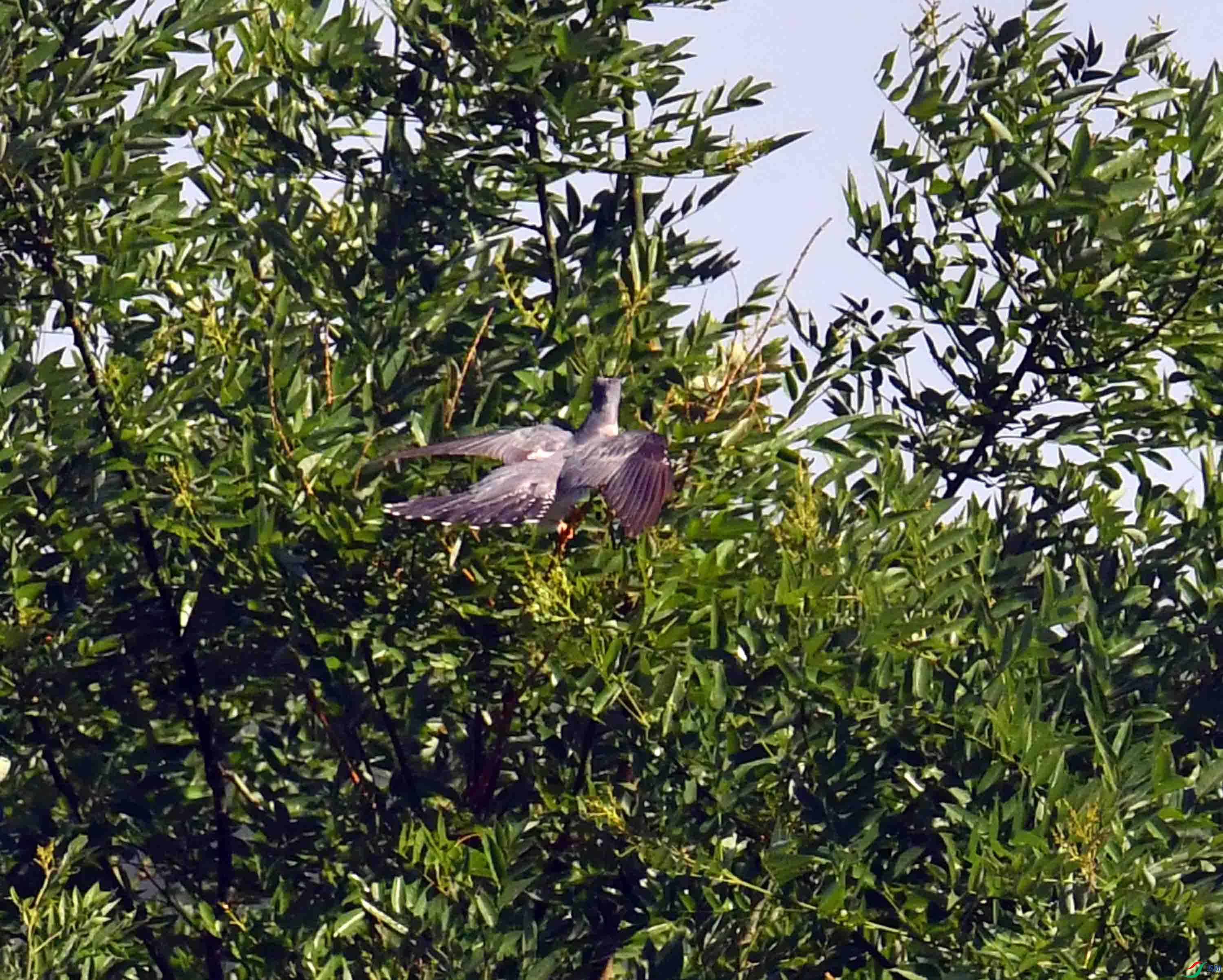 DSC_6394.JPG