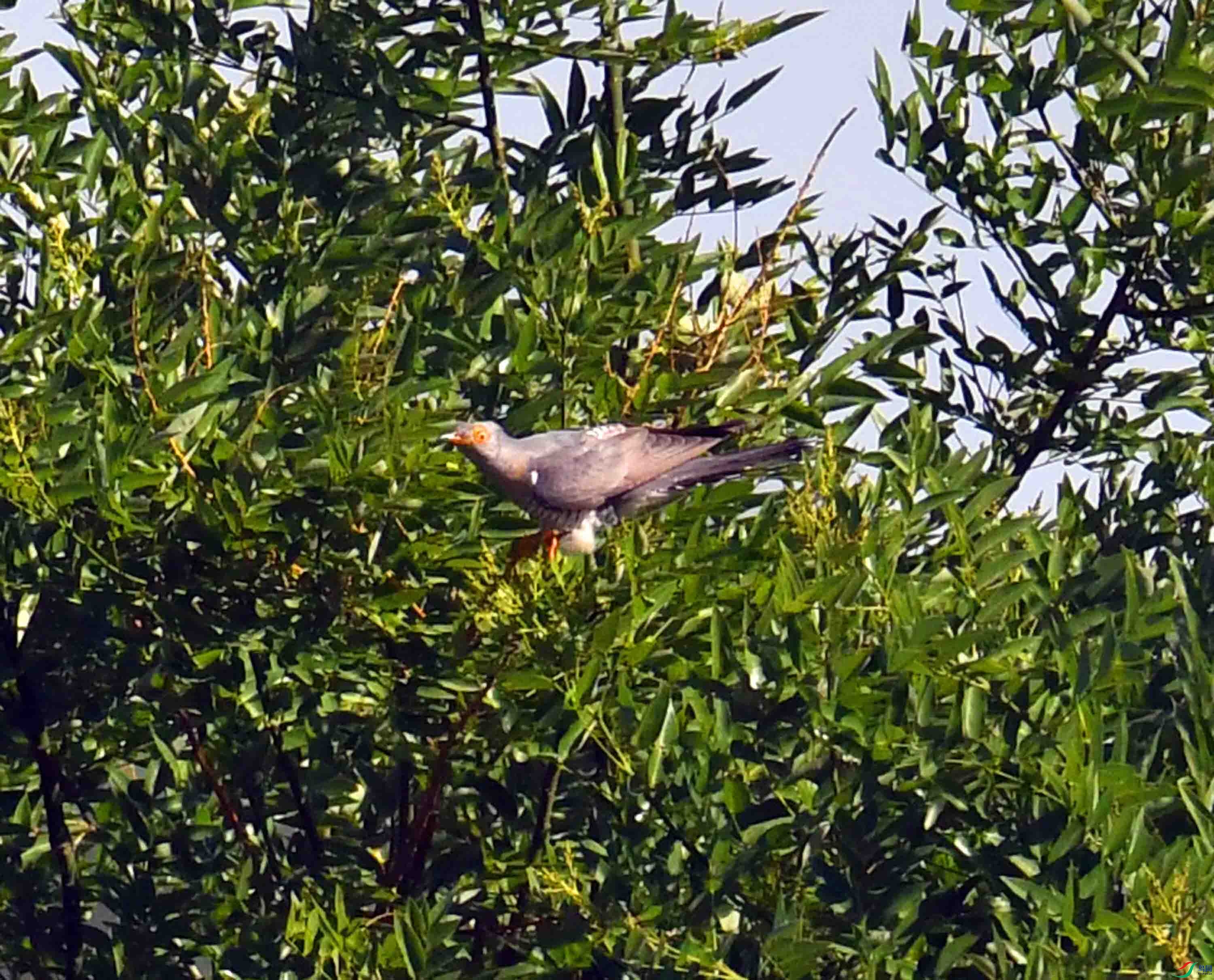 DSC_6399.JPG
