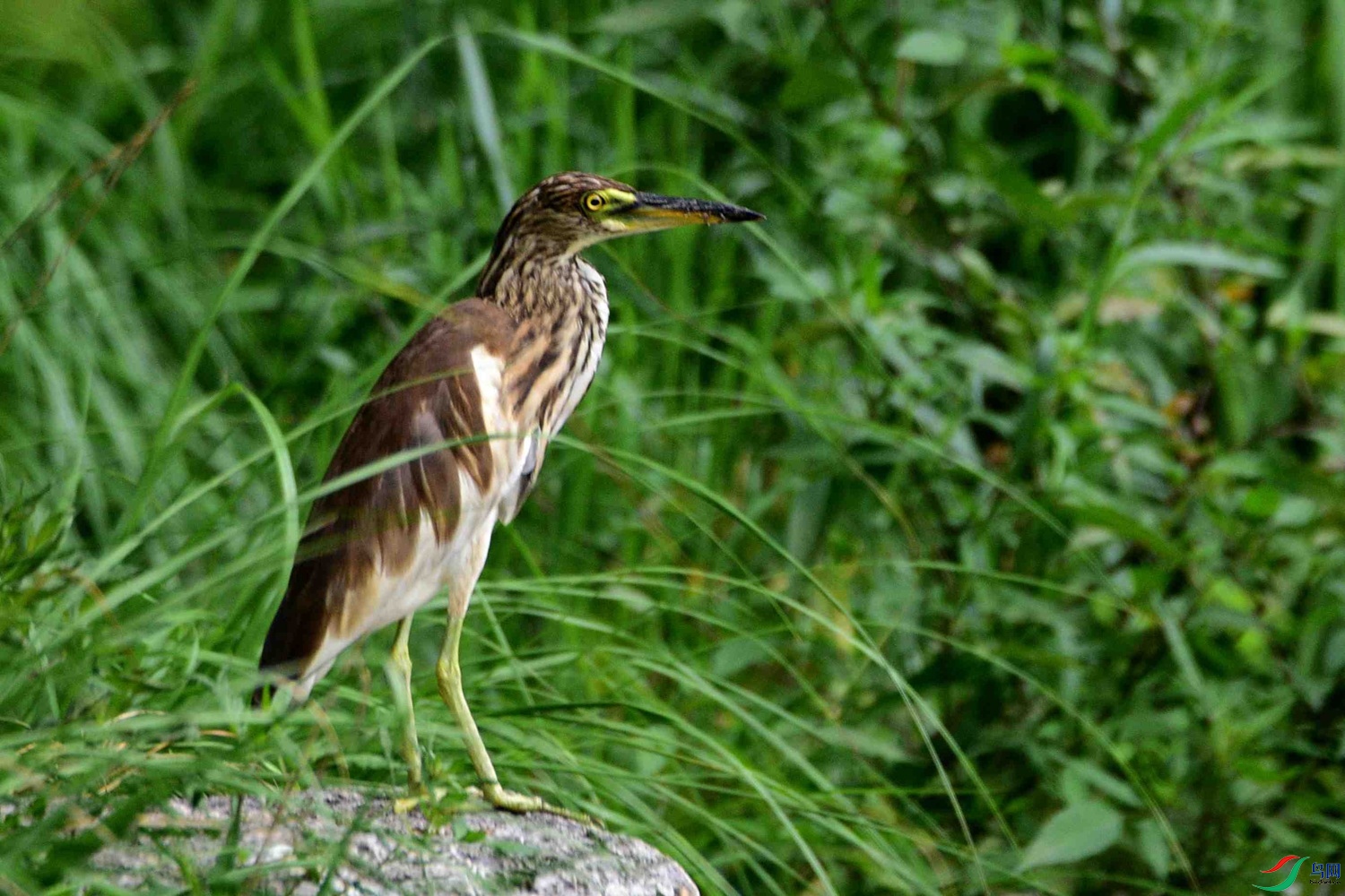 DSC_6042.JPG