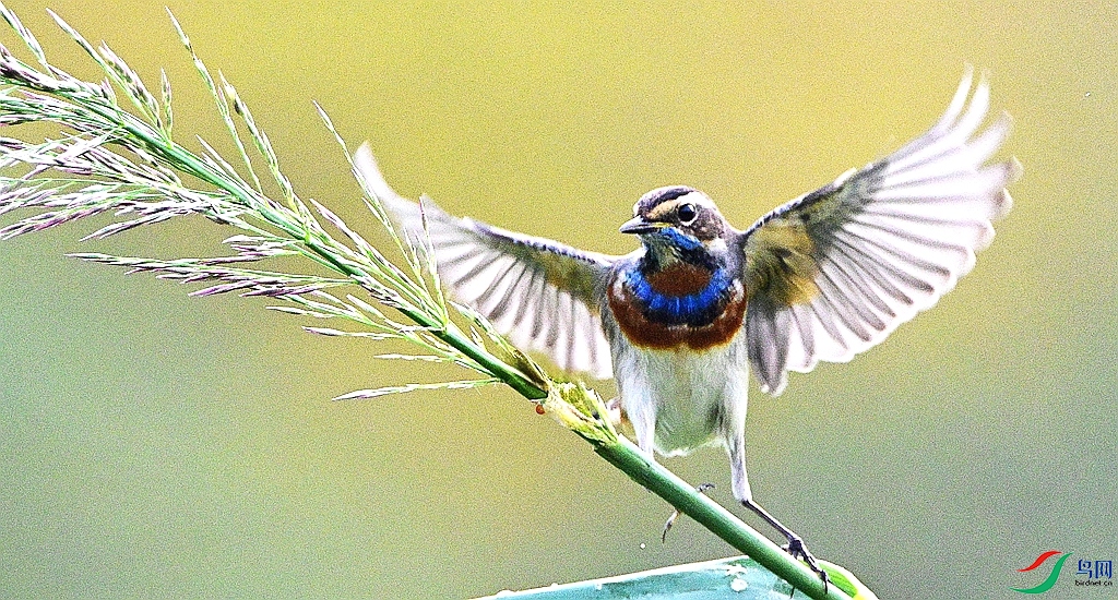 DSC_3818.JPG