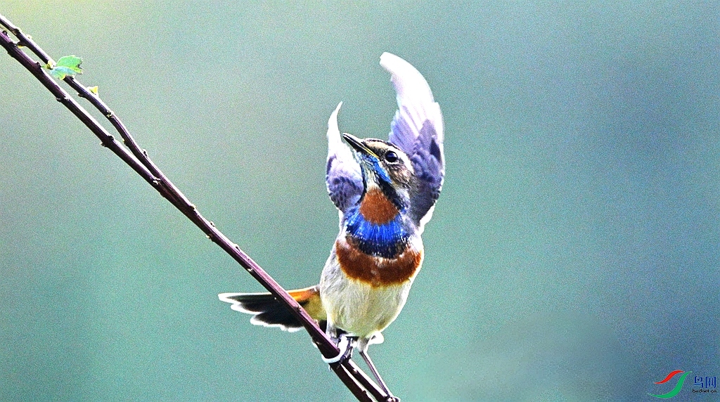 DSC_4166.JPG