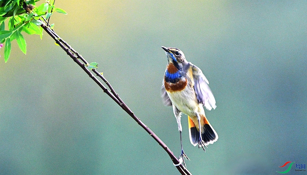 DSC_4167.JPG