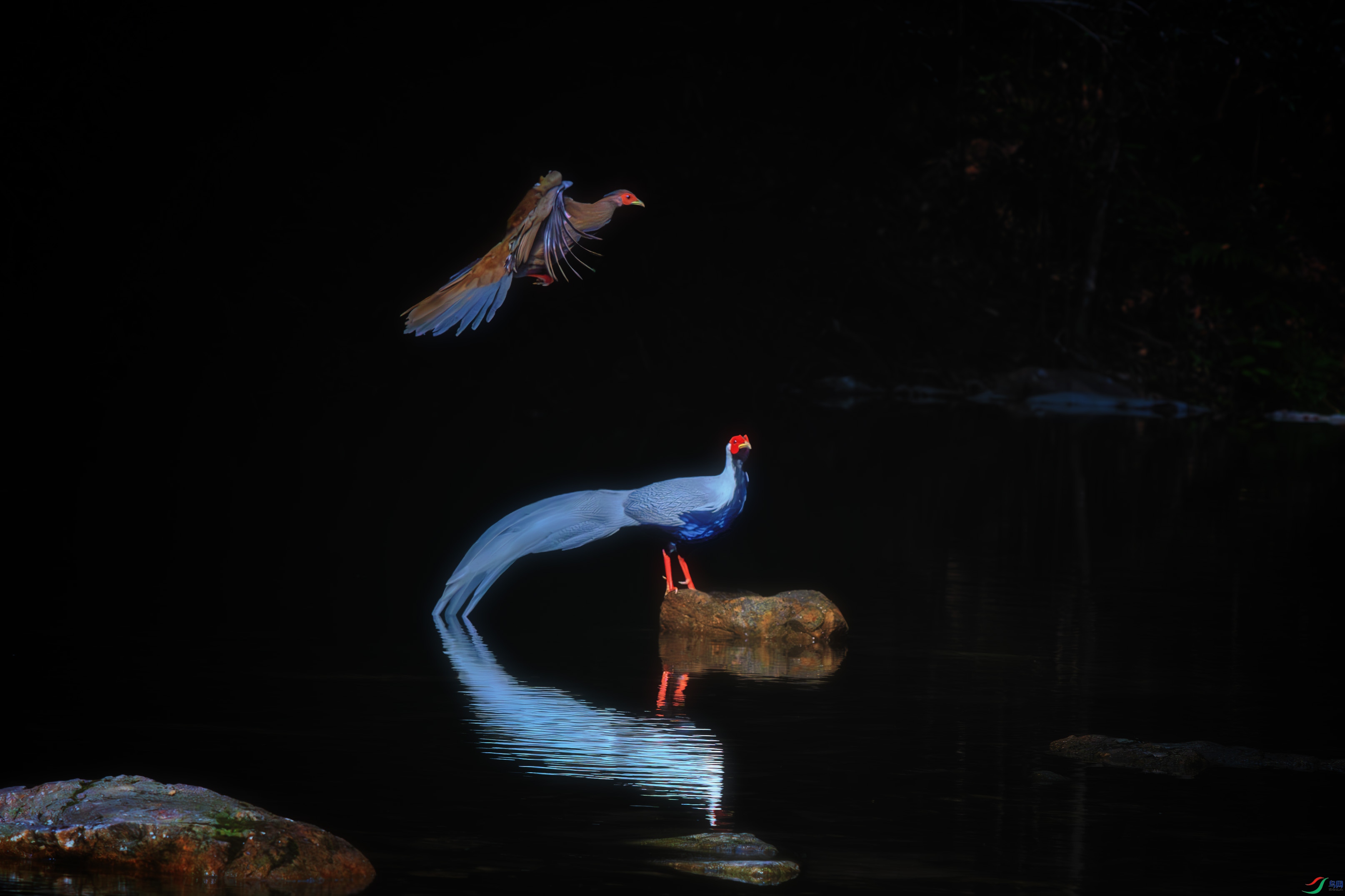 DSC_2477-����ǿ-NR-2 ����1.jpg