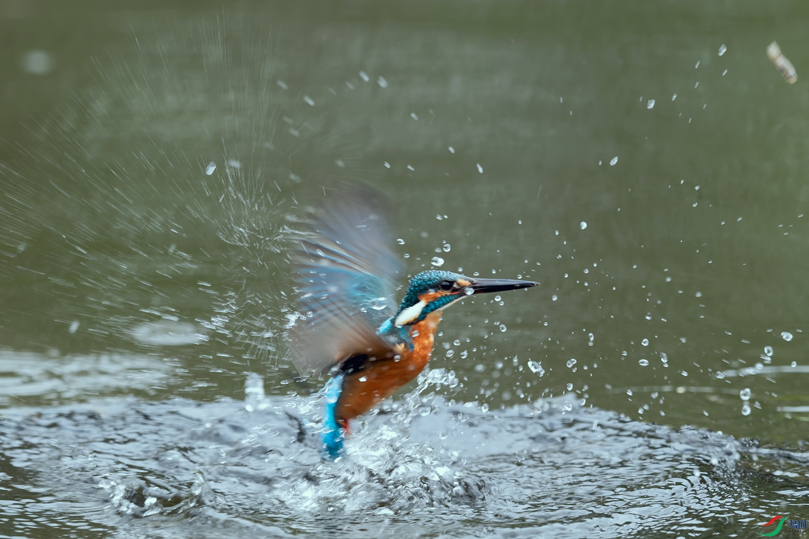 DSC_8940_DxOa.jpg