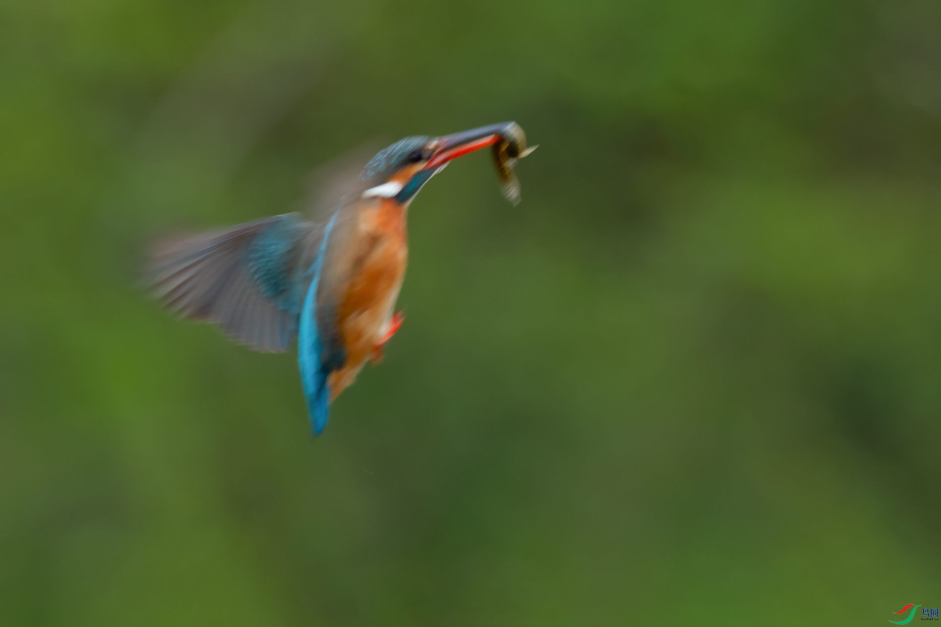 2DSC_9450_DxOa.jpg