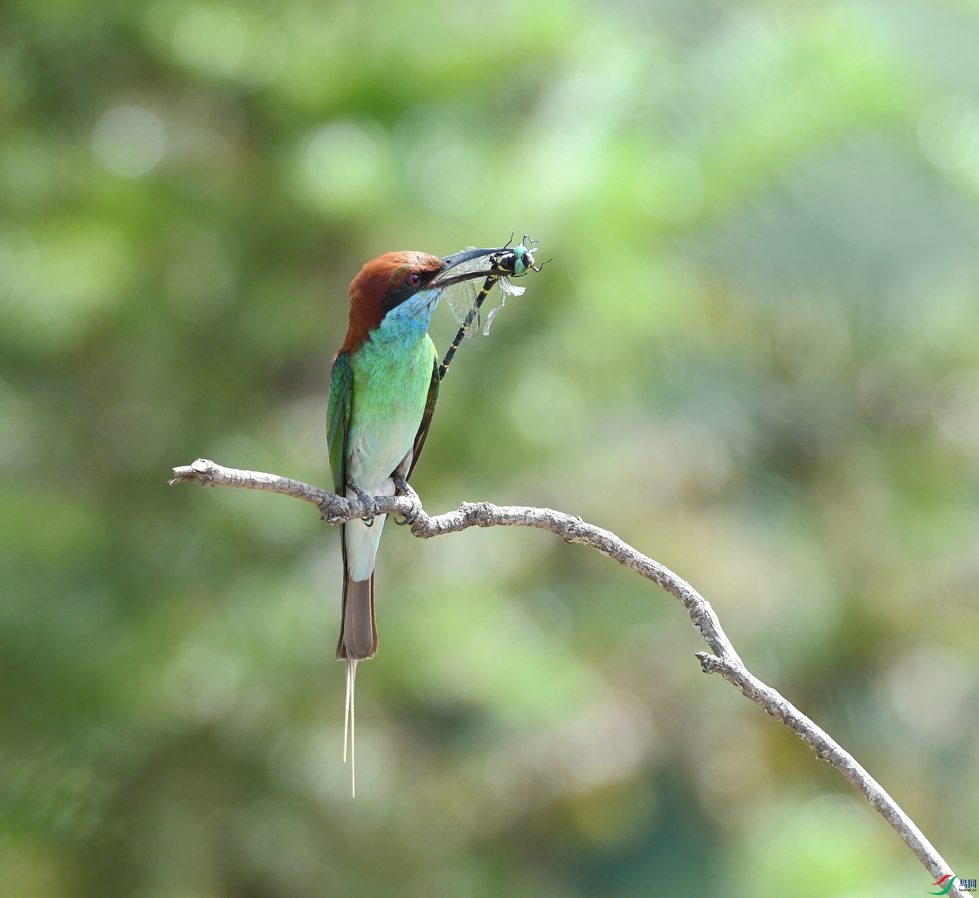 DSC_9034.jpg