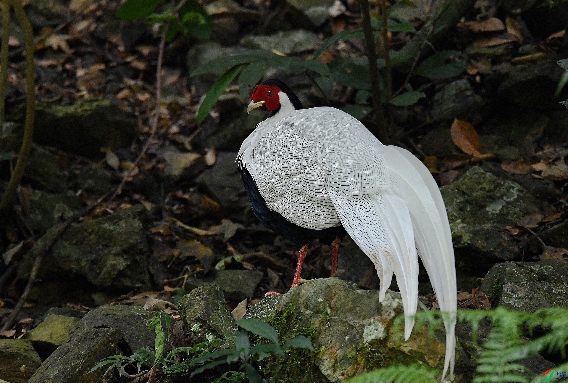 DSC_7969.jpg