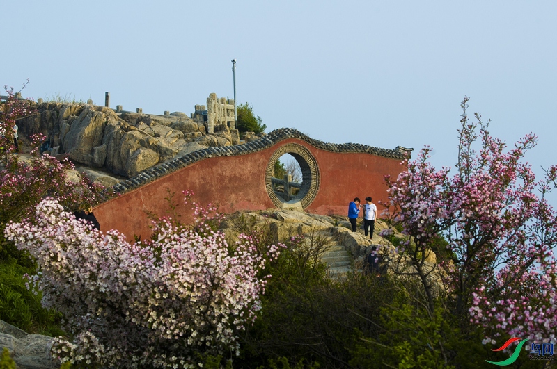 _DSC40053.jpg