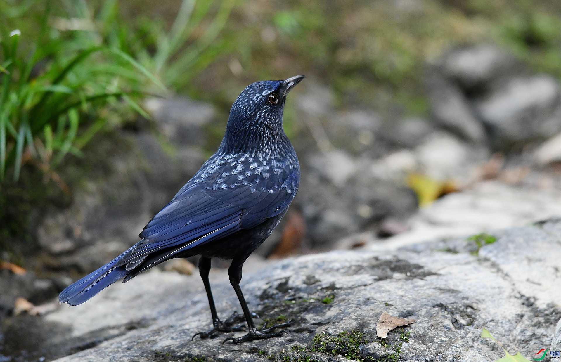 DSC_5838.jpg