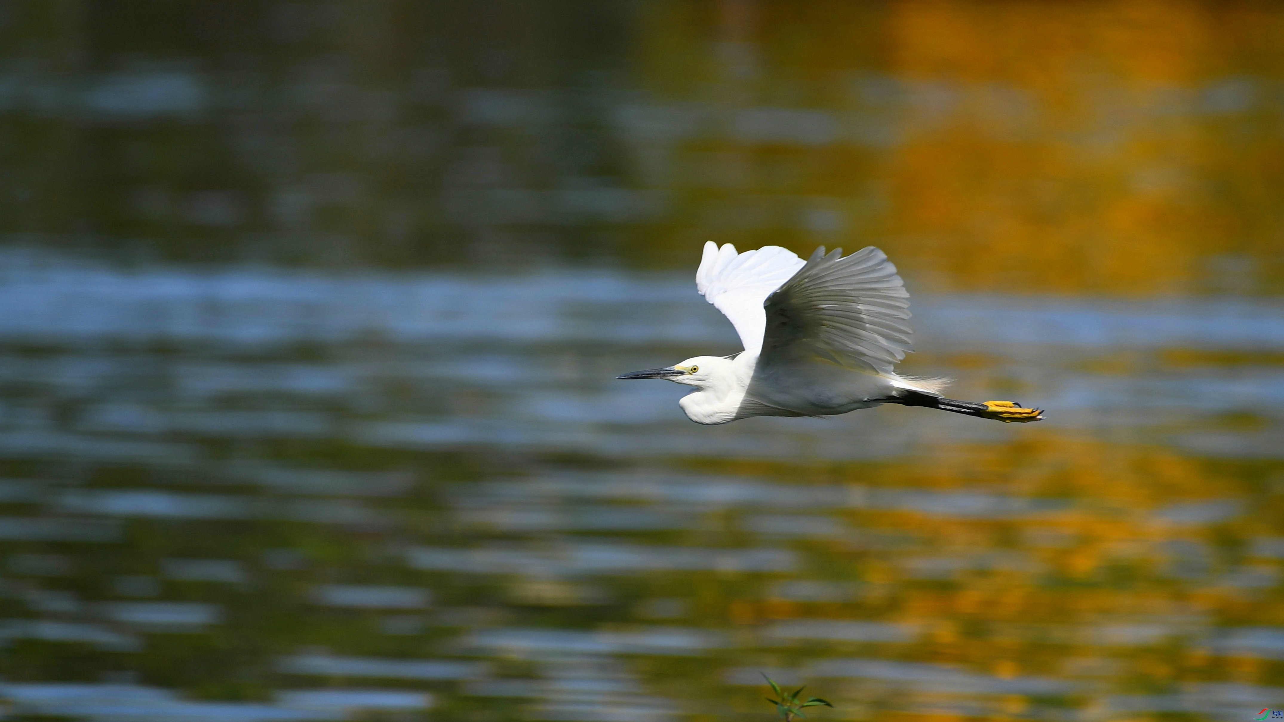 DSC_7596.JPG