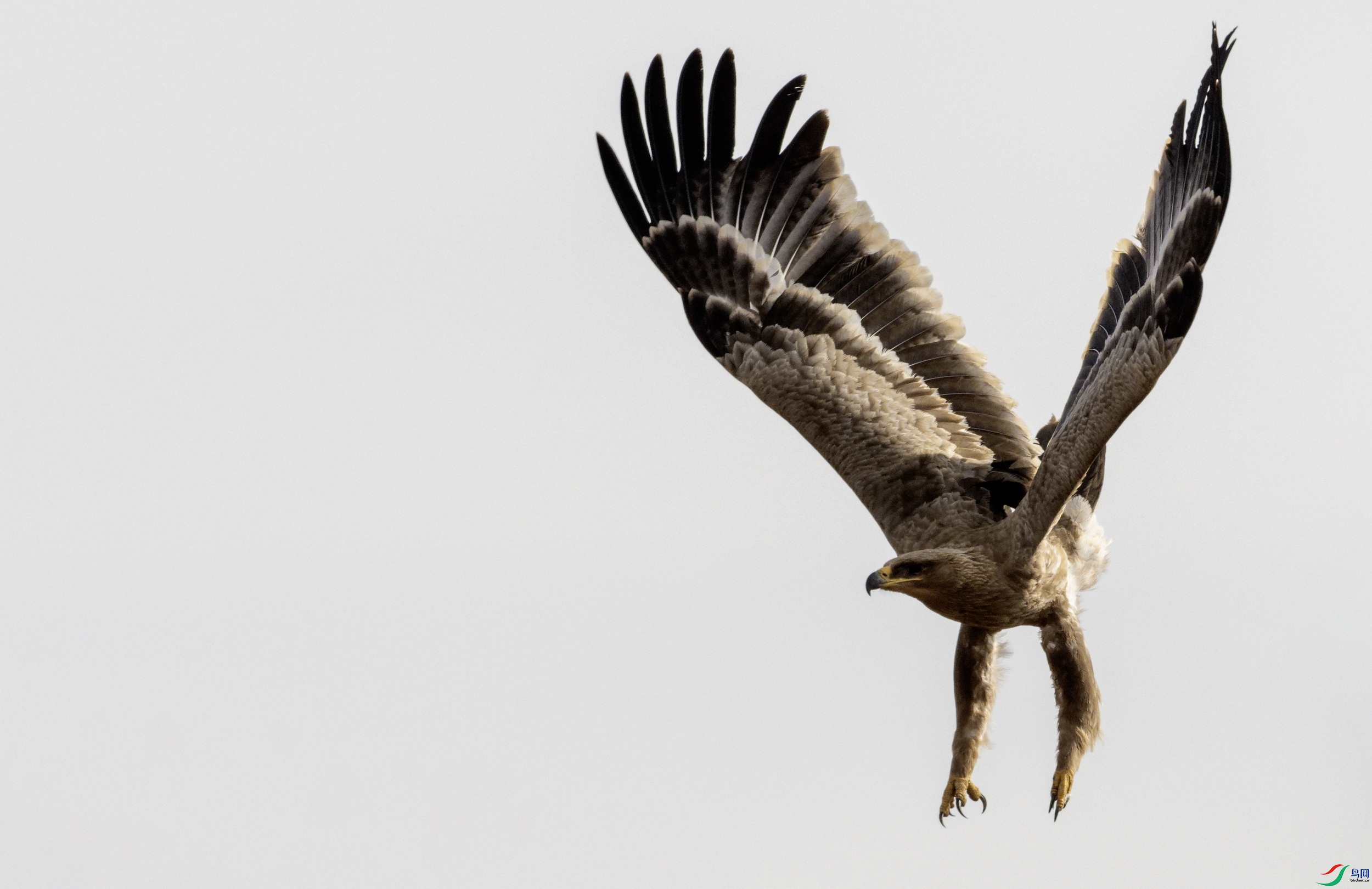 ��ԭ�� (923)-01.jpg