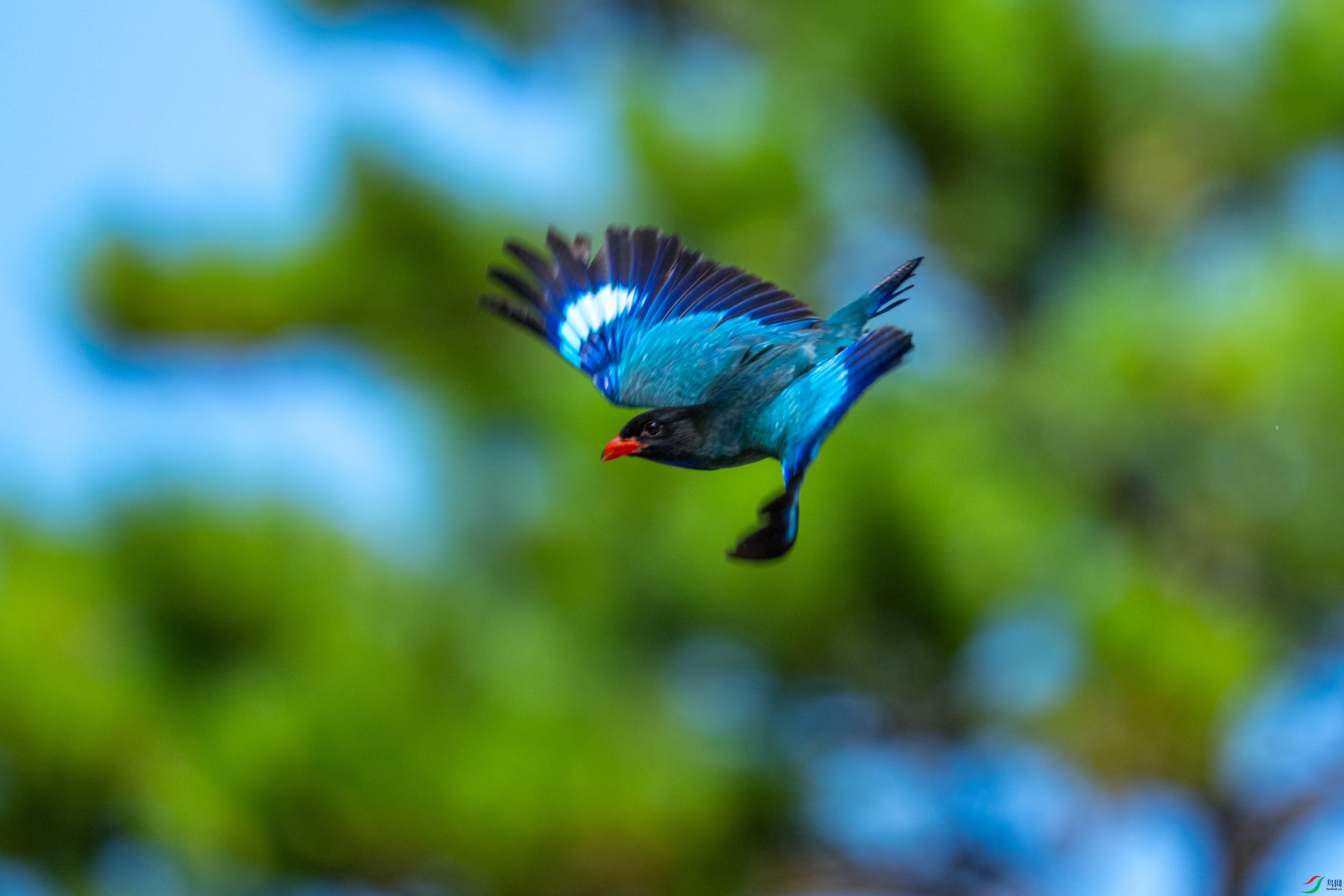 DSC_2810.jpg