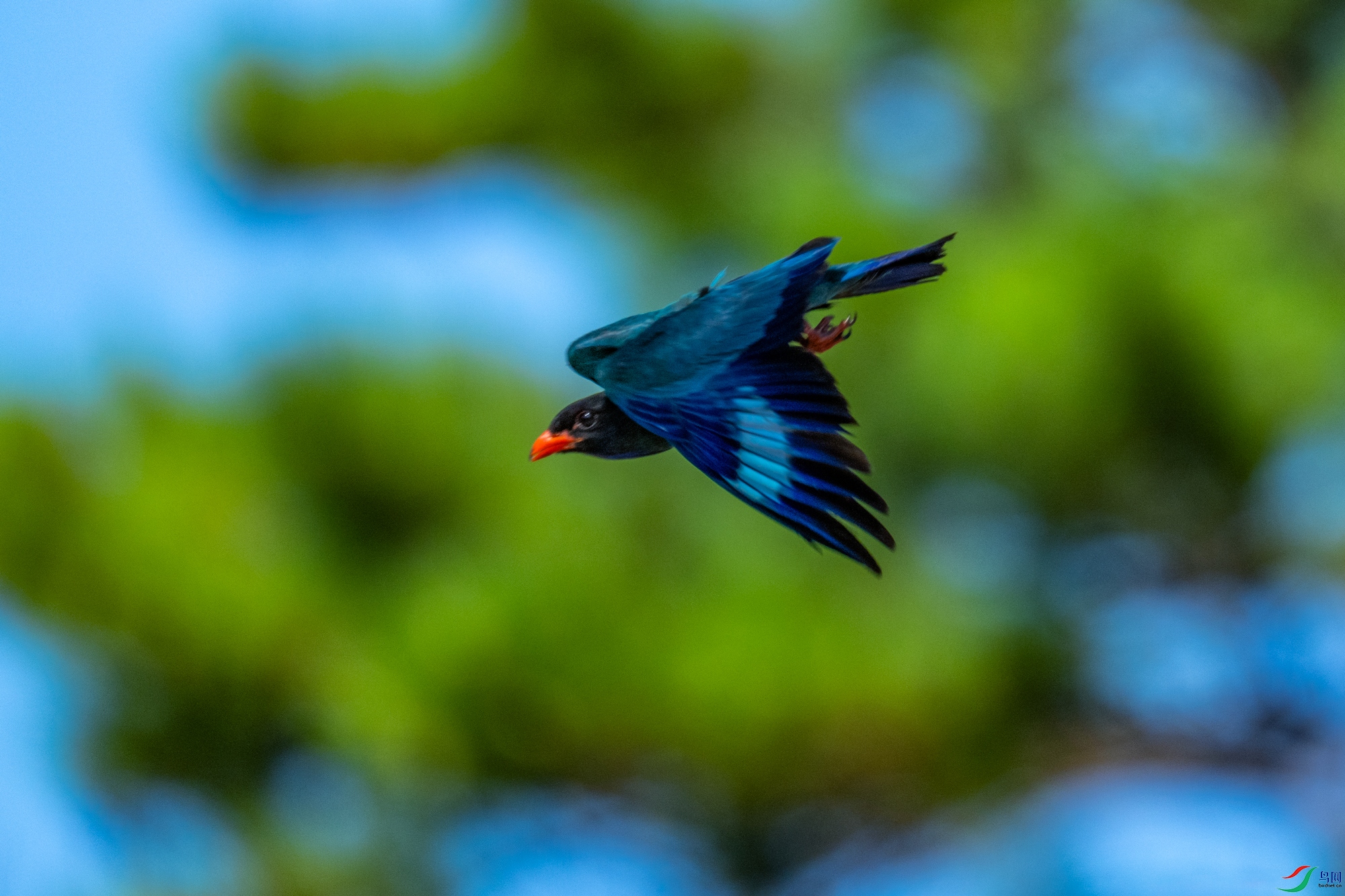 DSC_2811.jpg