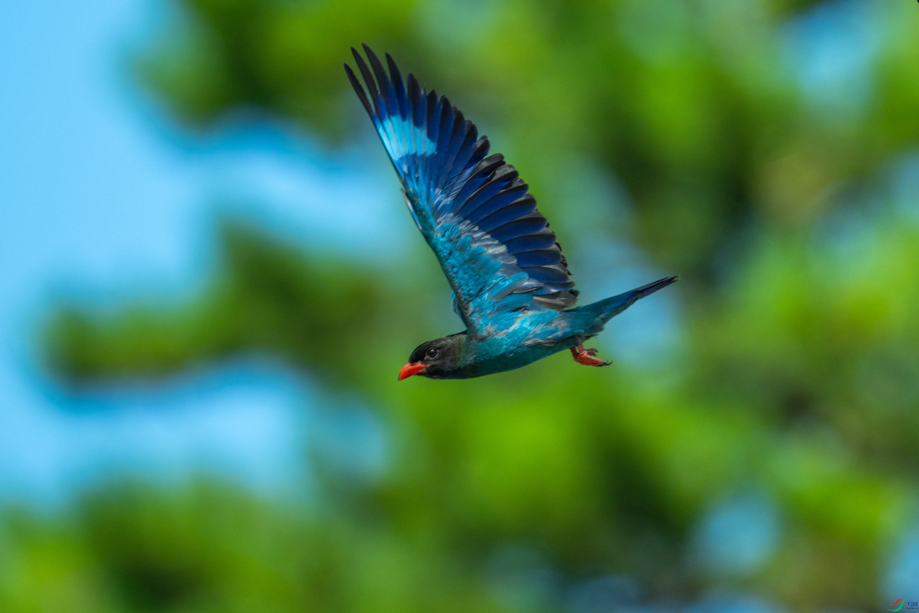 DSC_2844.jpg