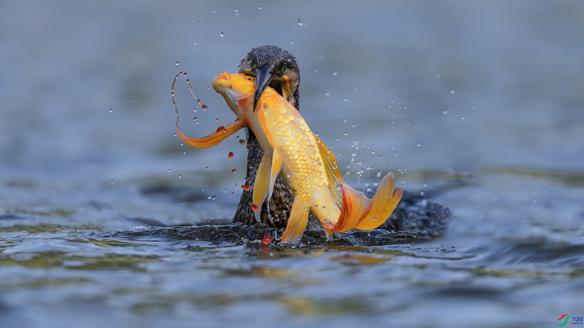 089A4649_��ͼ��_��ͼ��_��ͼ�� ����.jpgA_��ͼ��.jpg