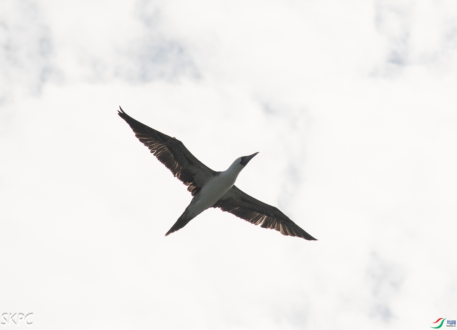 _DSC6350.jpg