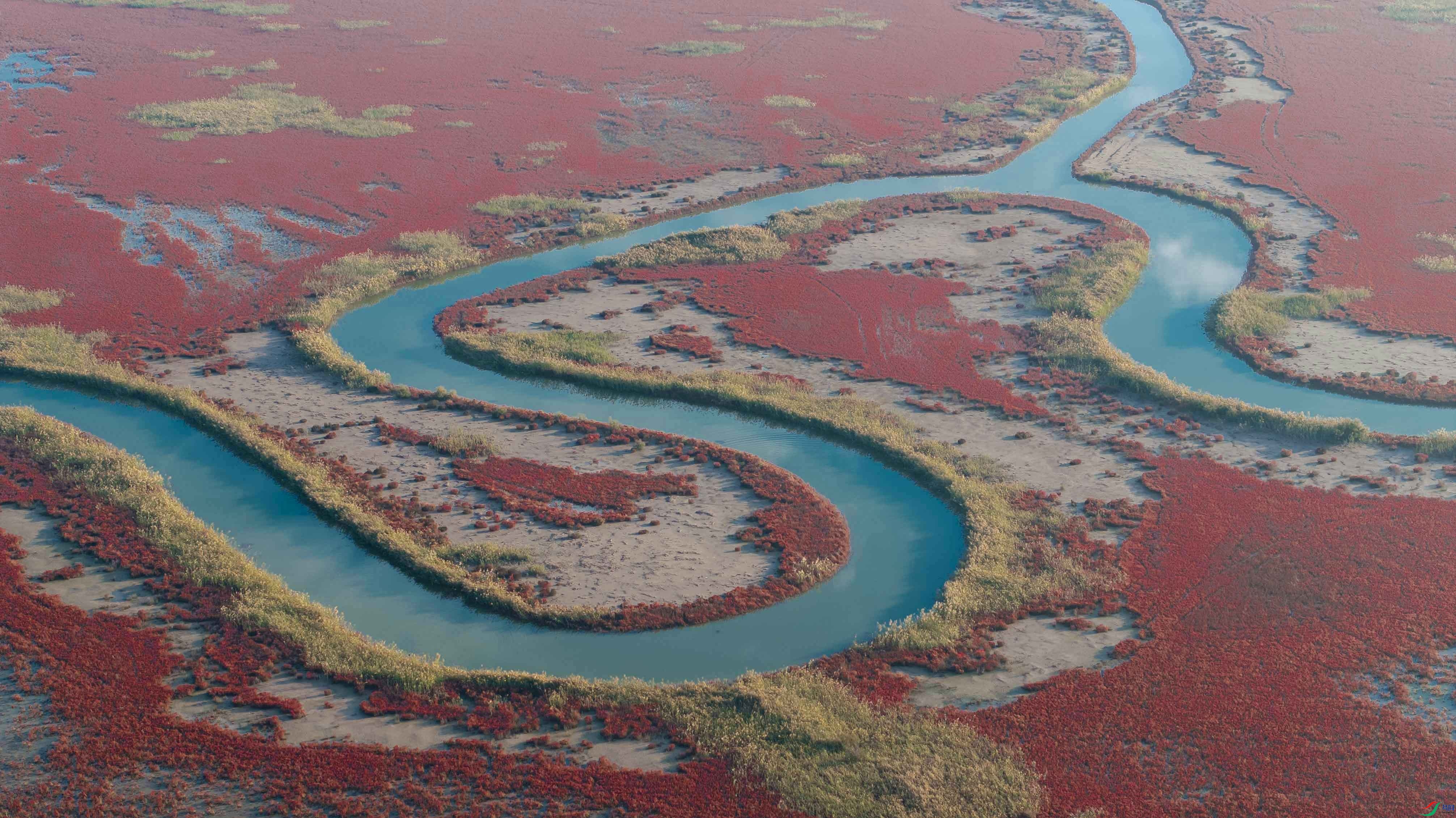 1-xtDJI_20251003153648_0087_D ���� ����.jpg