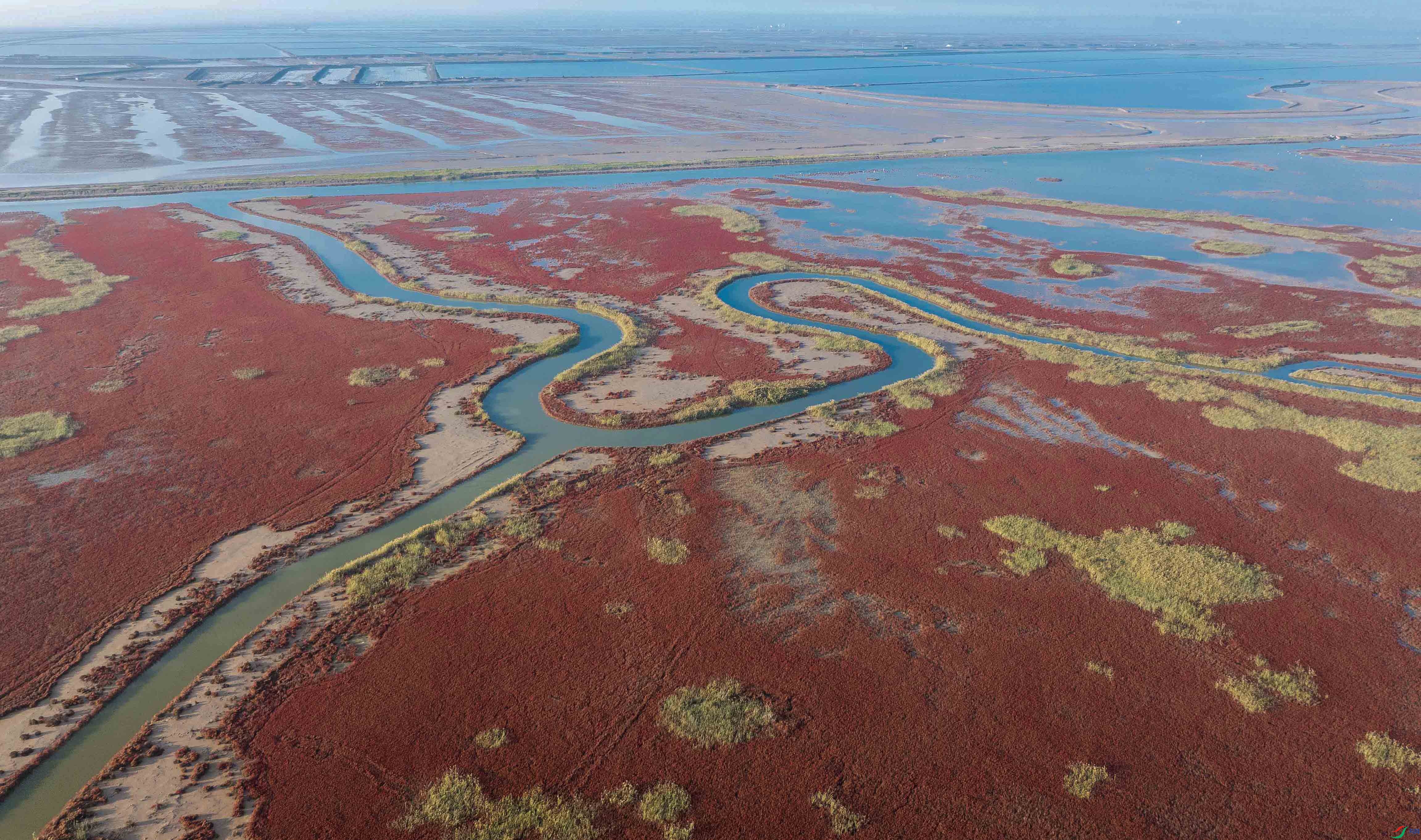 1-xtDJI_20251003153322_0080_D ���� ����.jpg