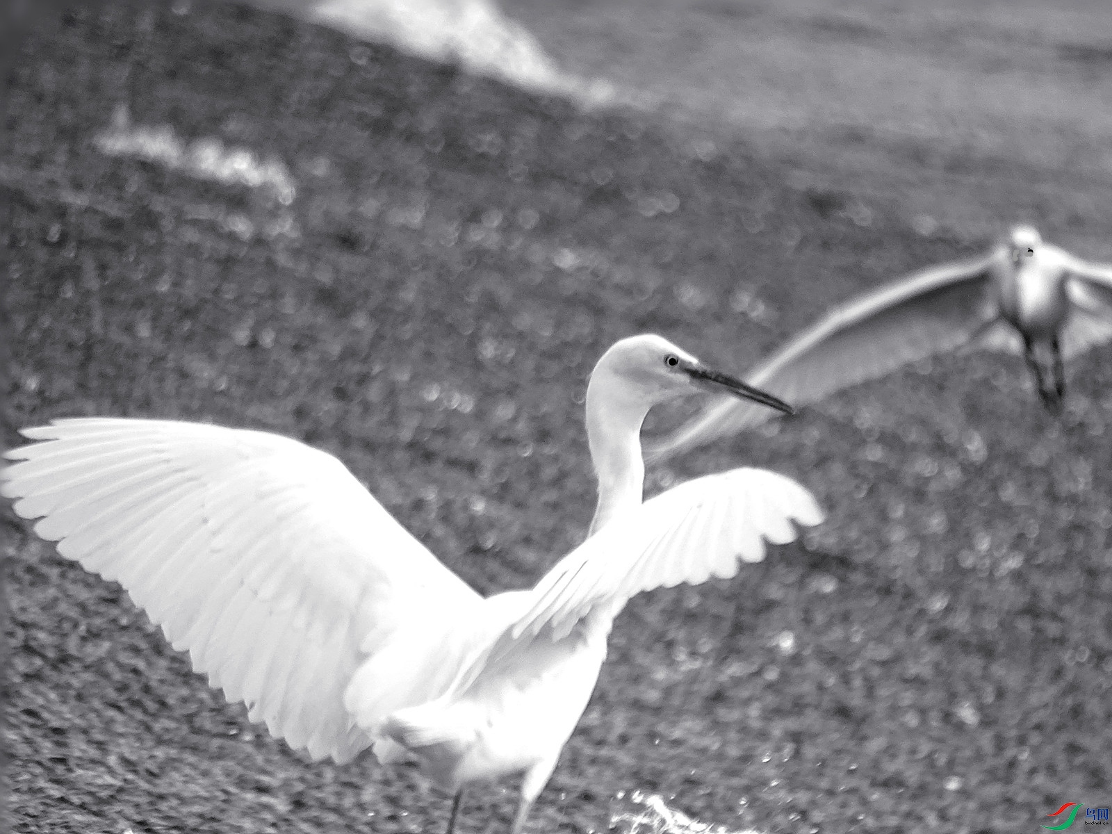 DSC07810_����.jpg