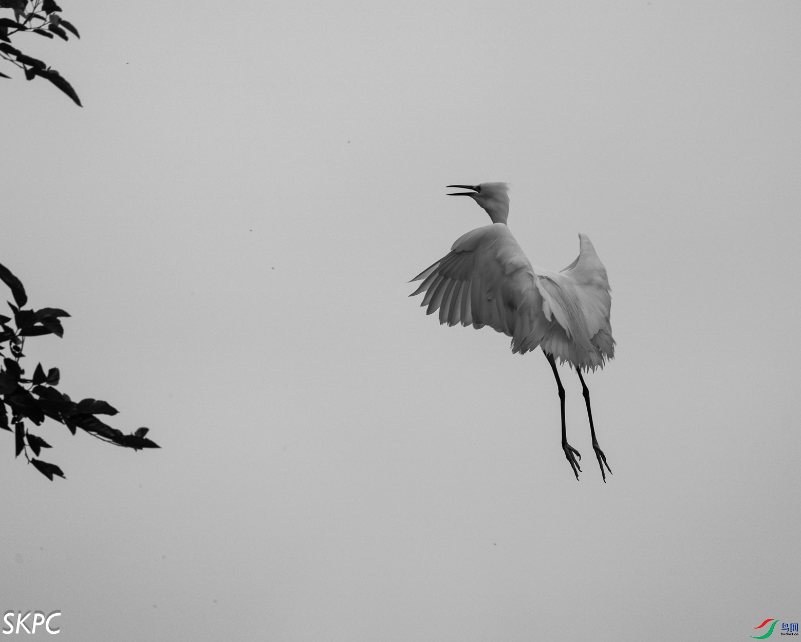 DSC04110.jpg