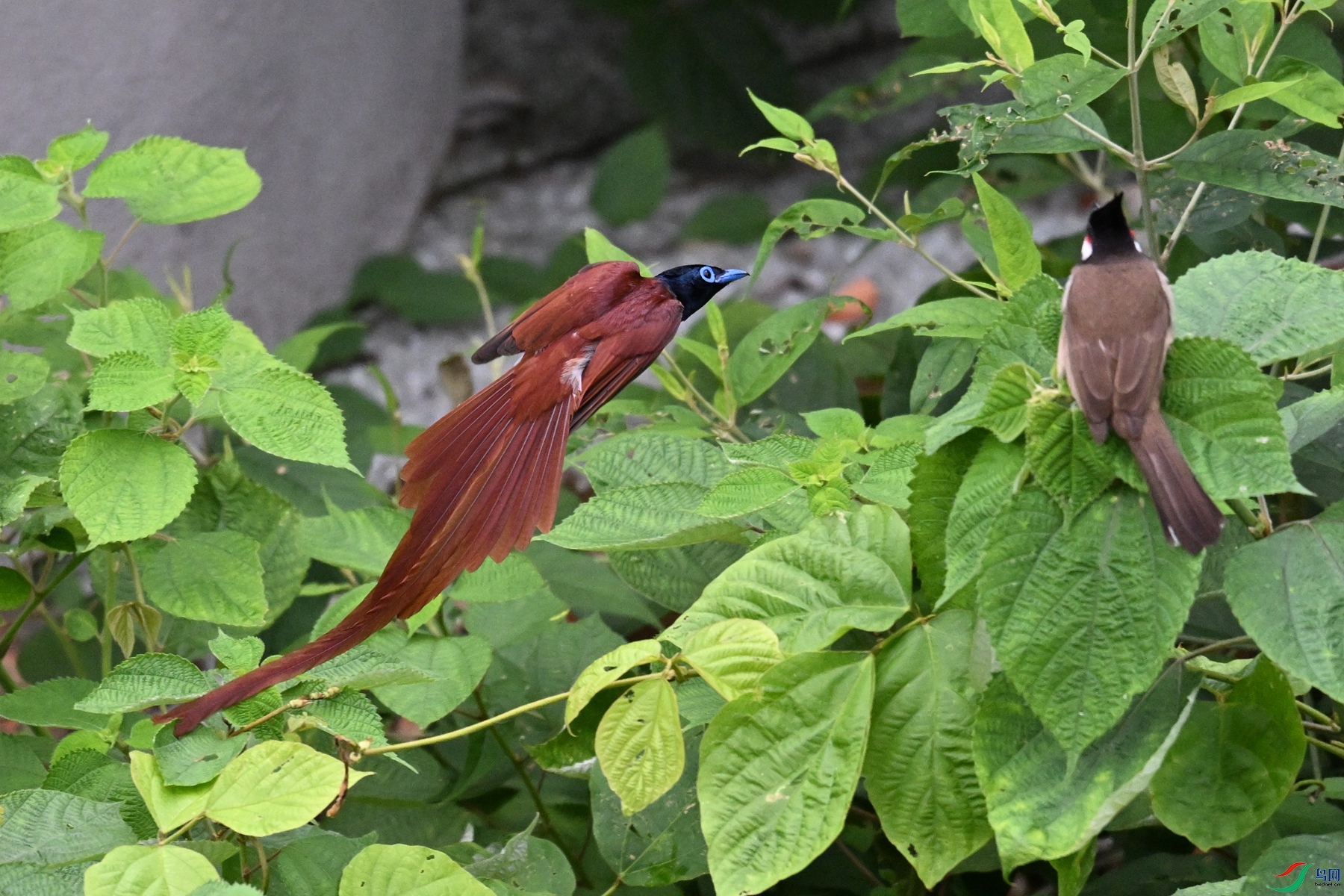 DSC_6674.JPG