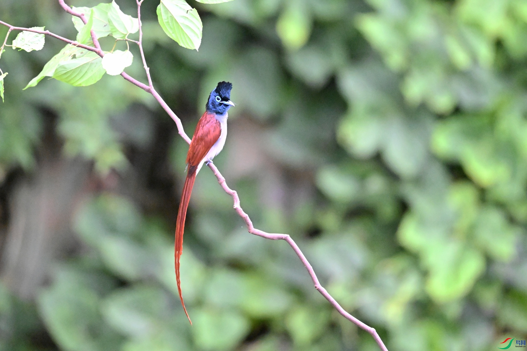 DSC_6668.JPG