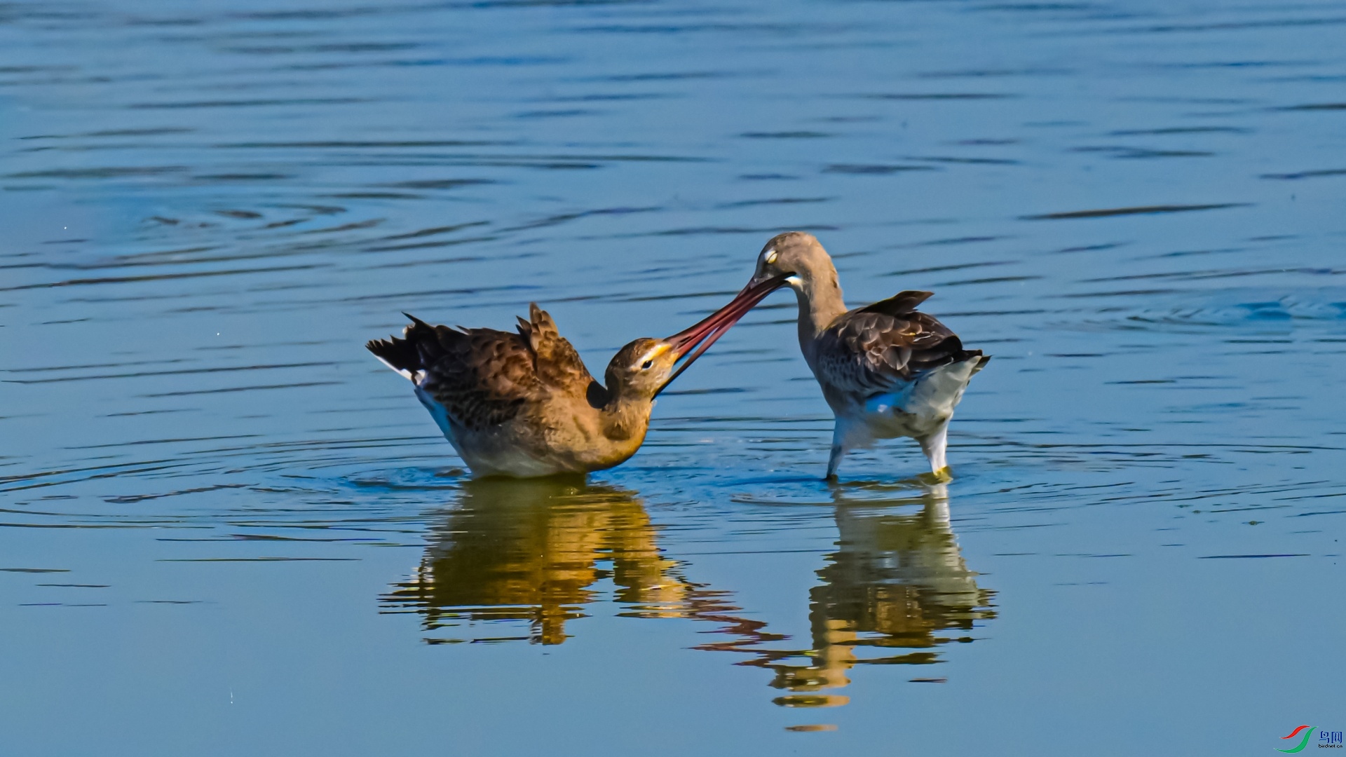 DSC_7065_��ͼ��.jpg