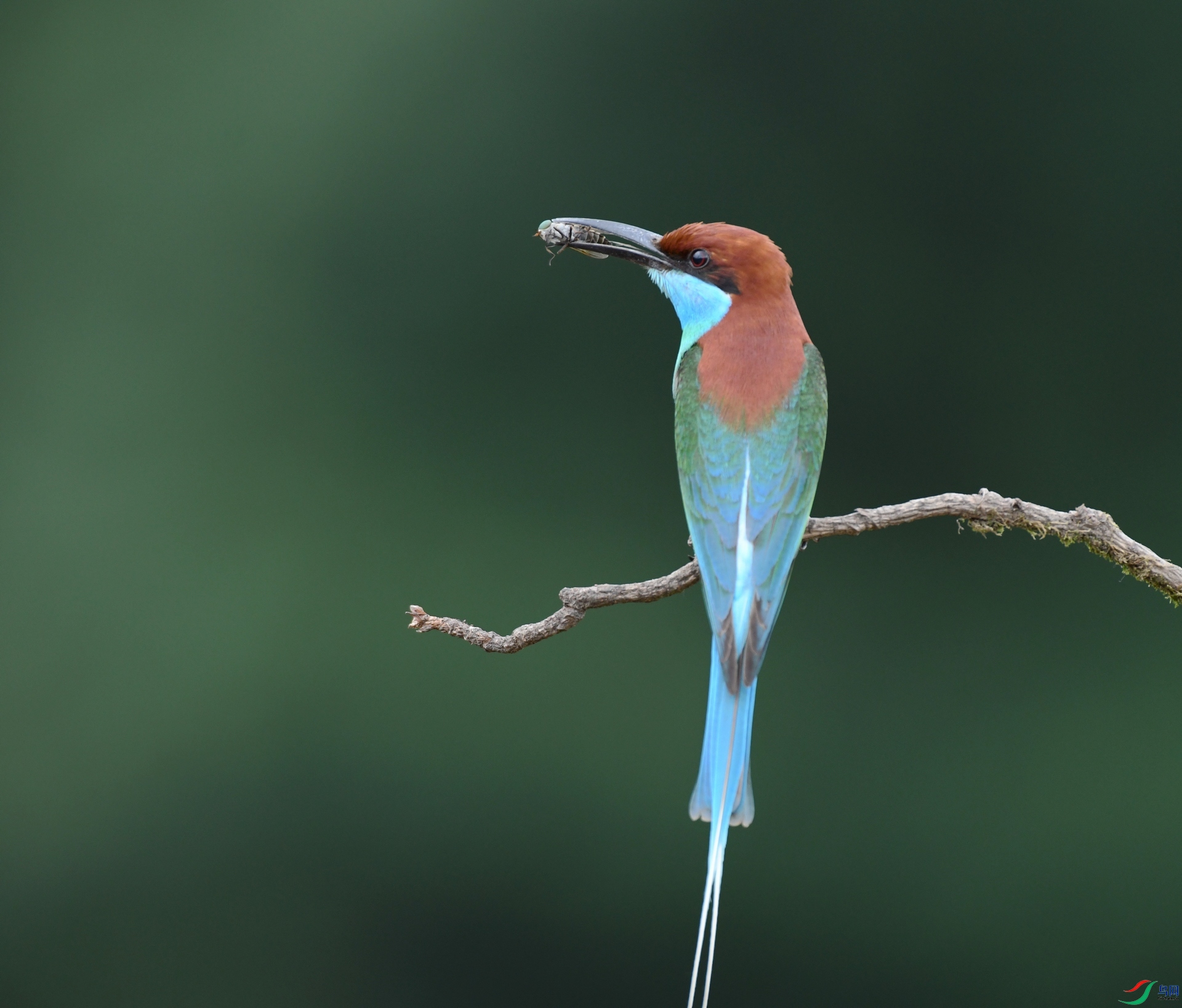 DSC_2802.jpg