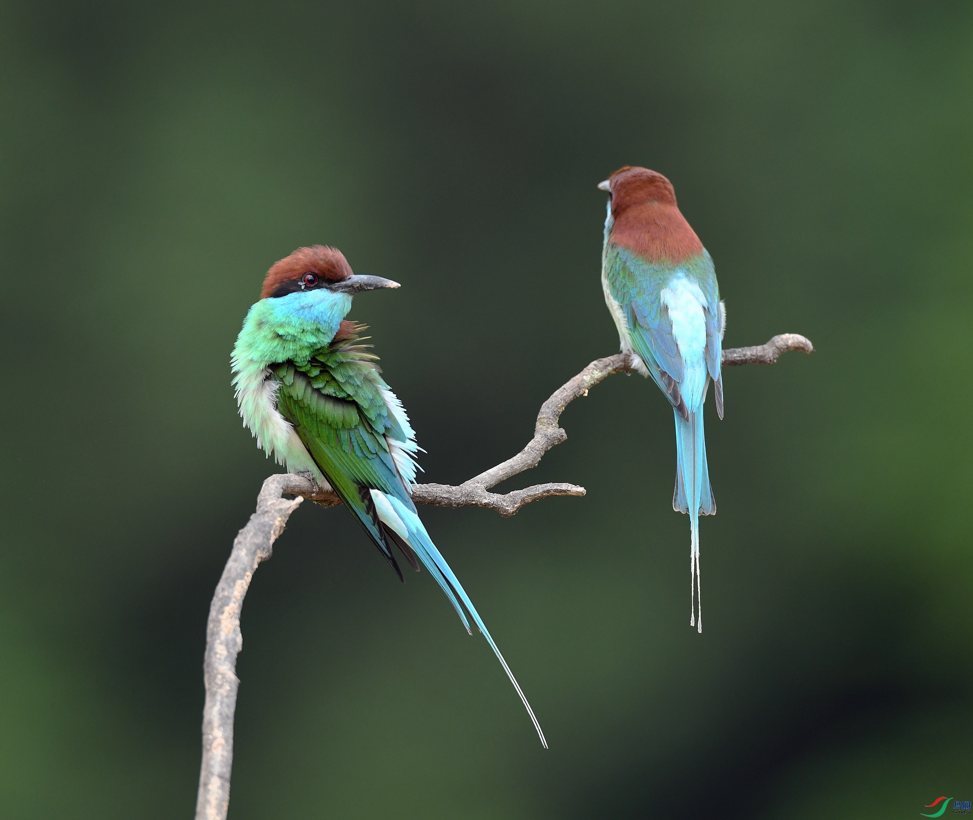 DSC_2795.jpg