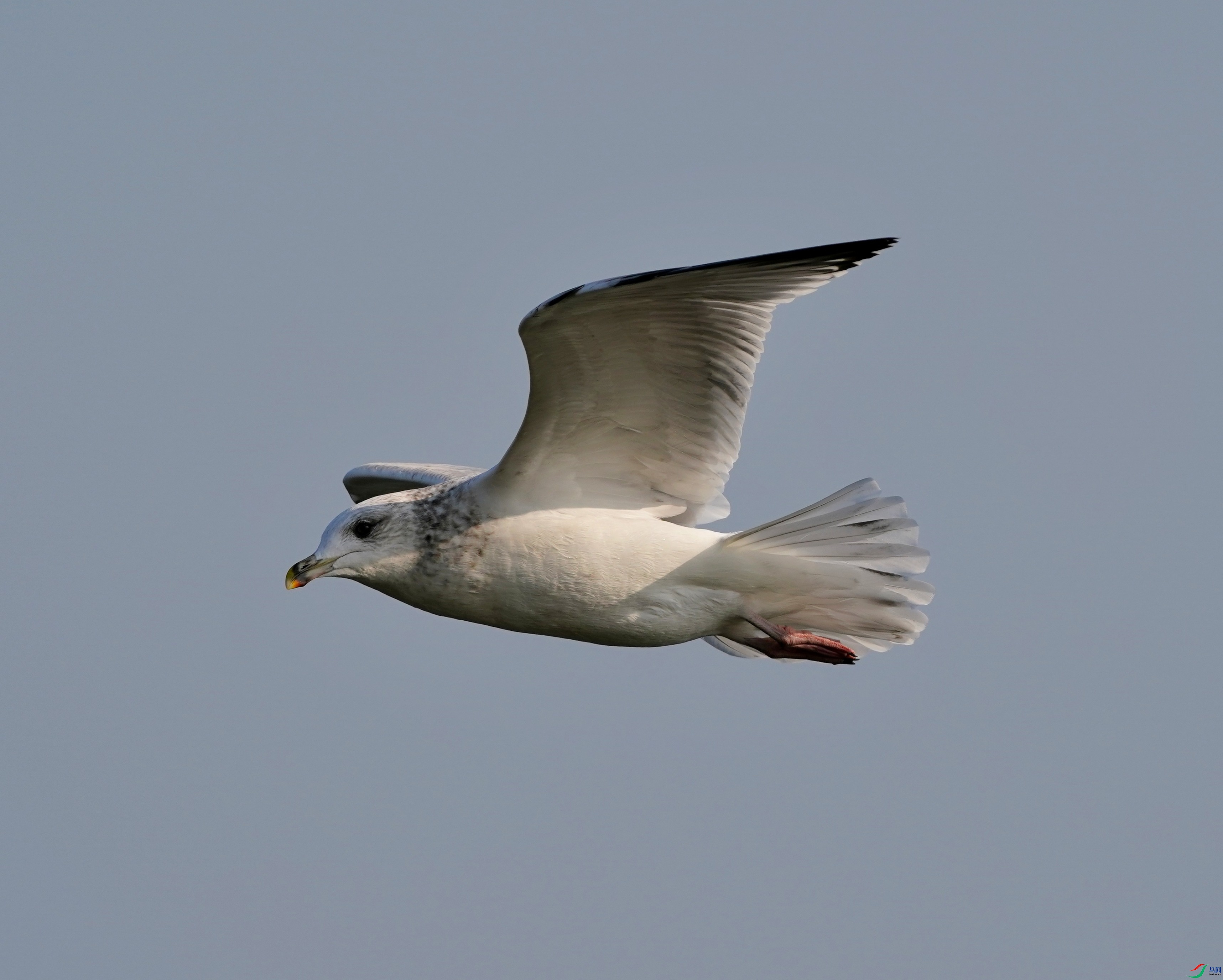 DSC04166.JPG