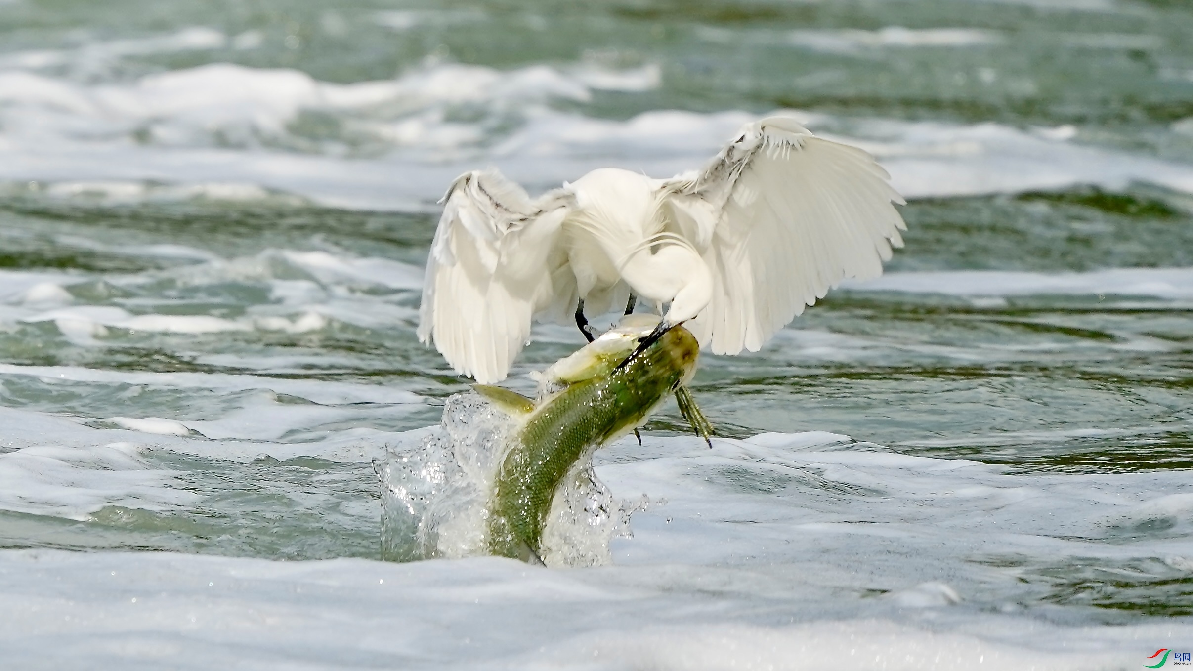 _DSC7328.jpeg