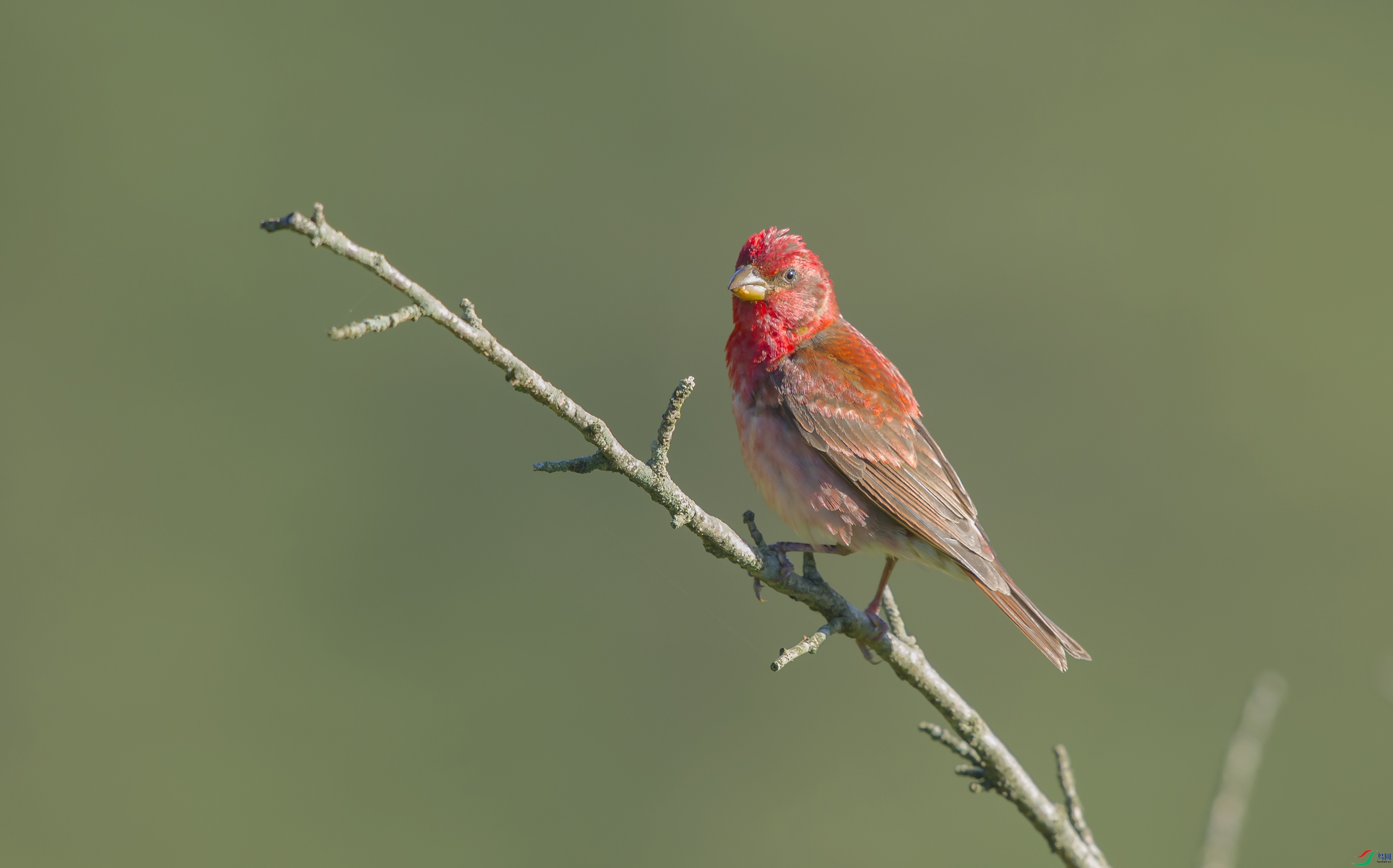 DSC_0252.jpg