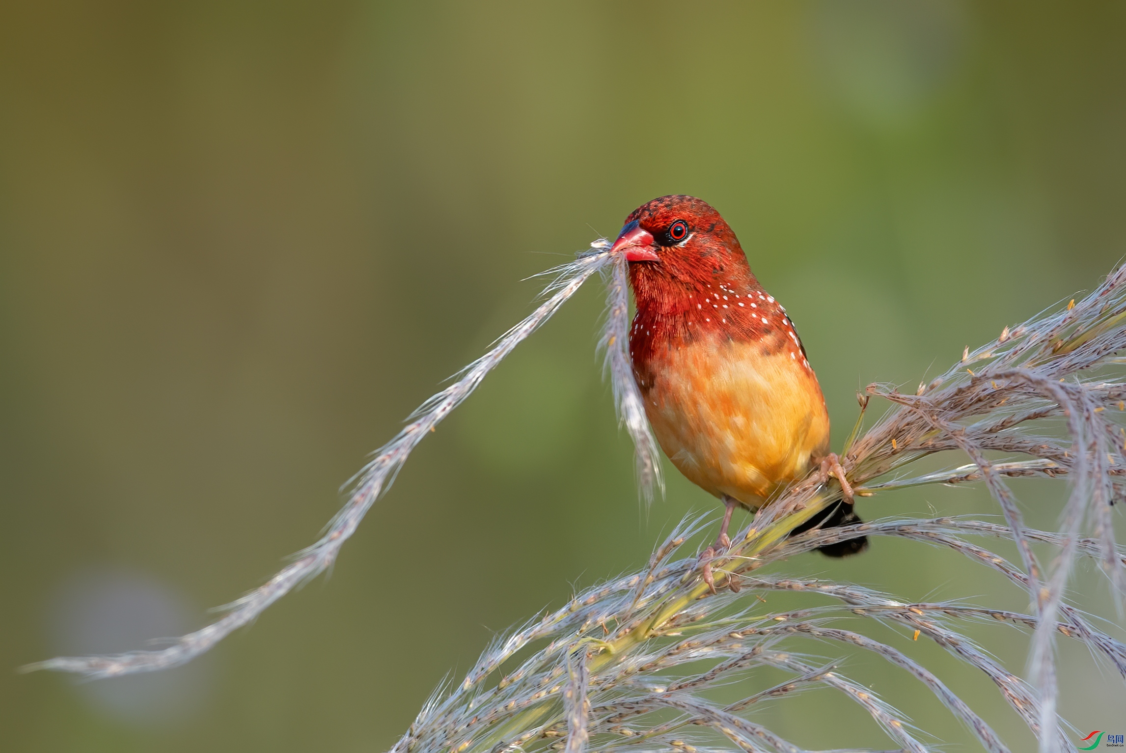 DSC_7664-1.jpg