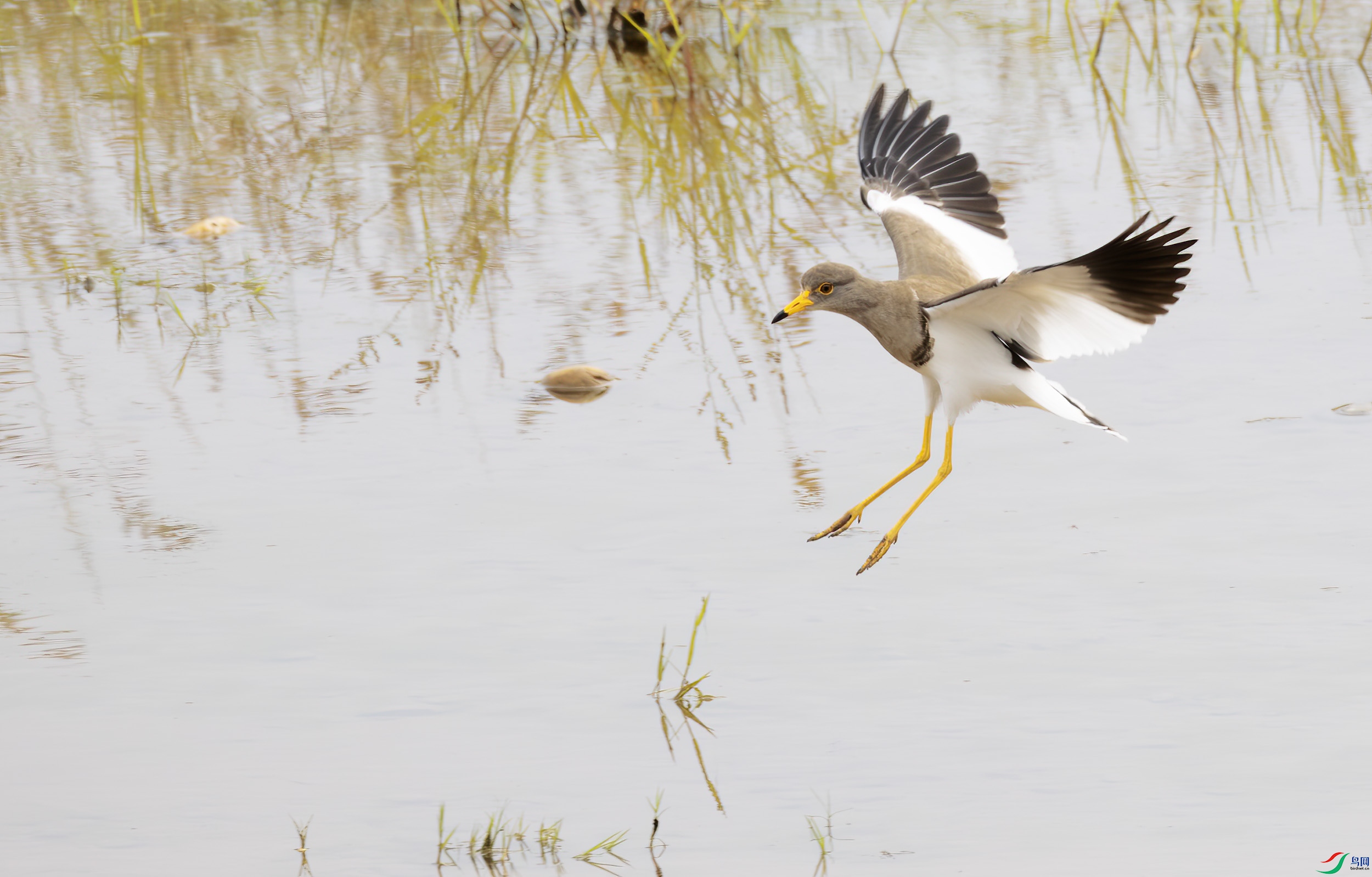 G47A9242-����ǿ-NR ����.jpg